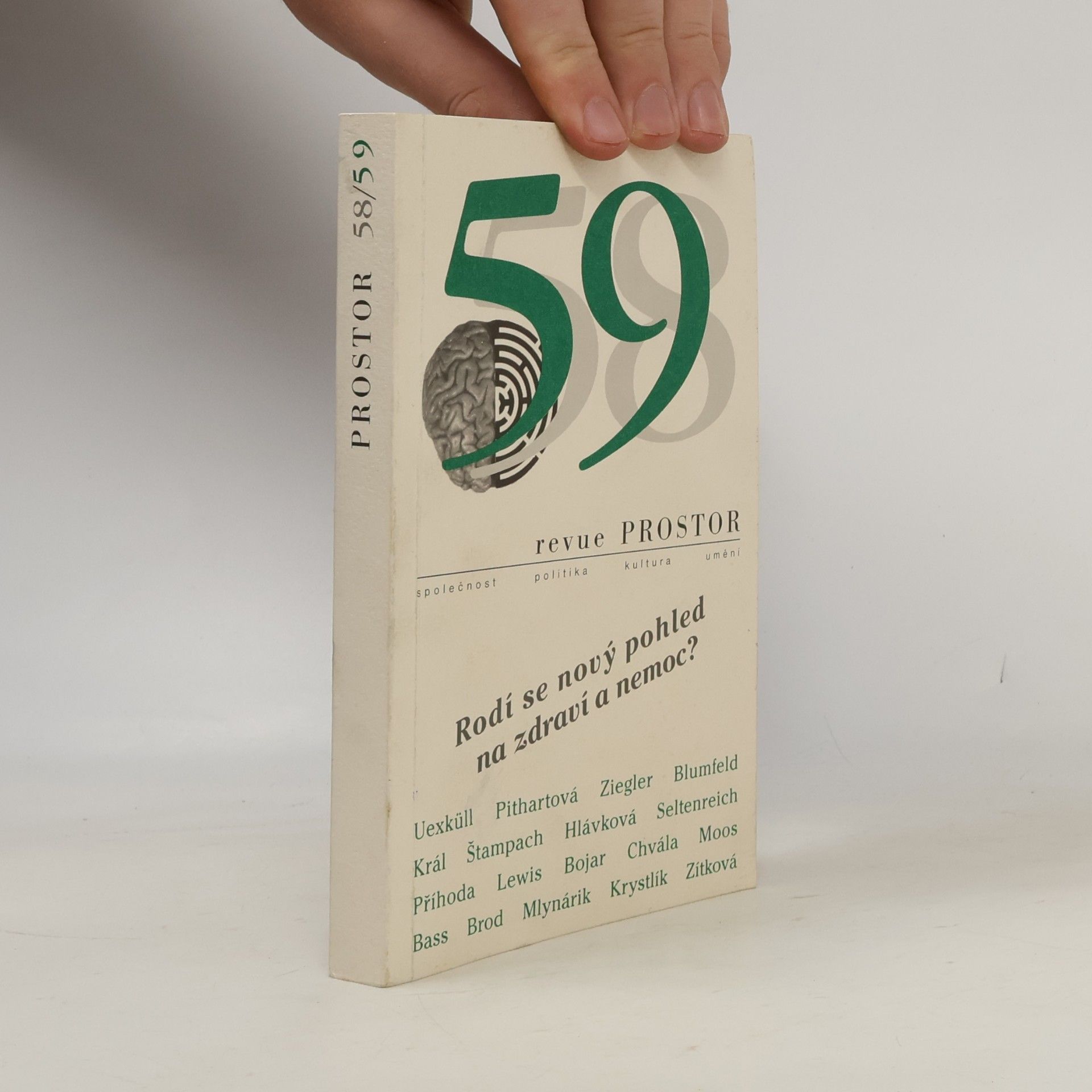 Autorenkollektiv Revue Prostor 58/59