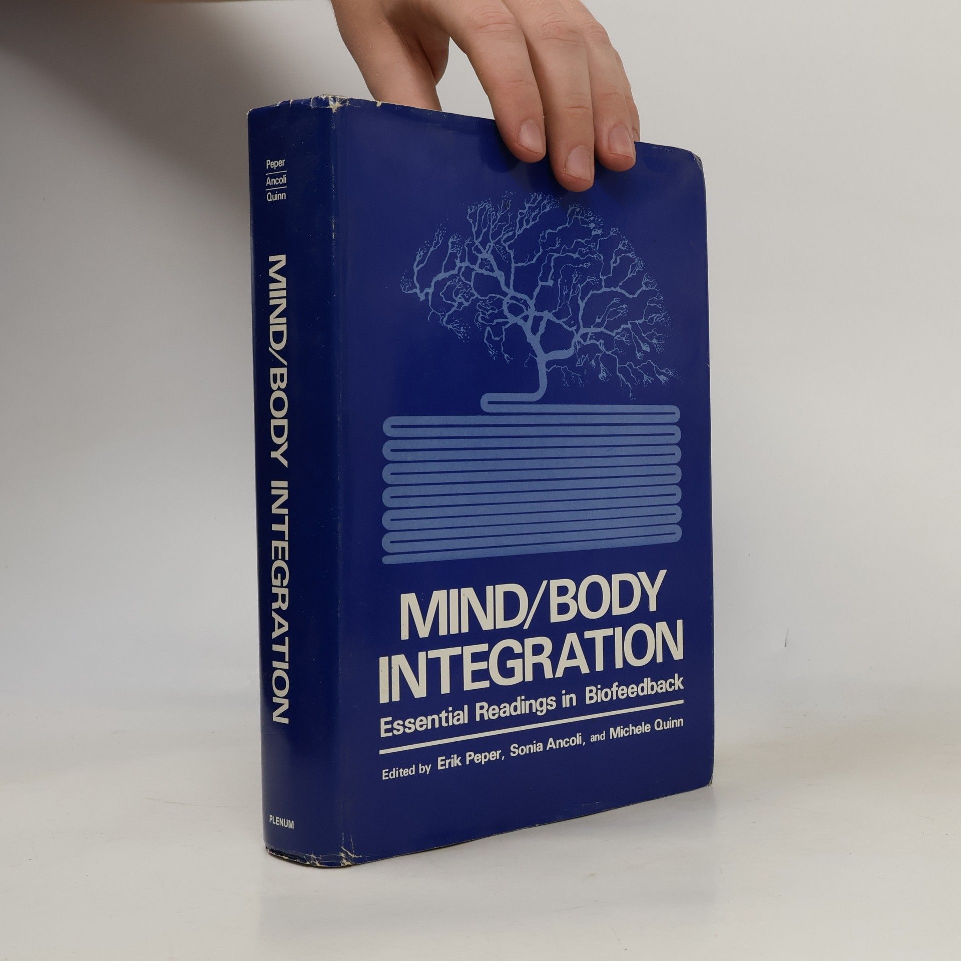 Michele Quinn Mind/Body Integration