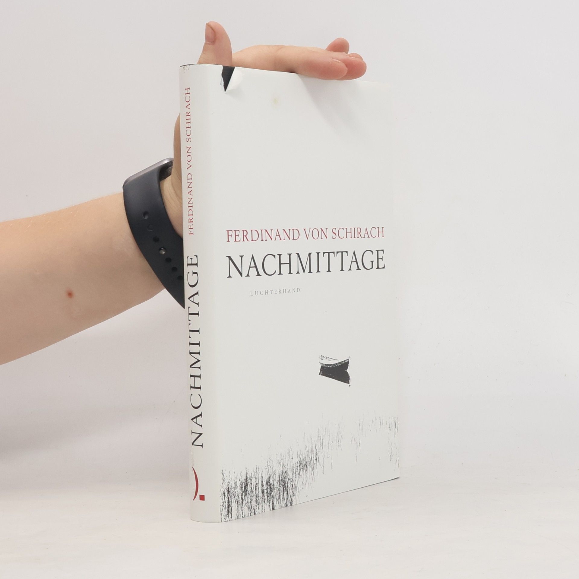 Ferdinand von Schirach Nachmittage