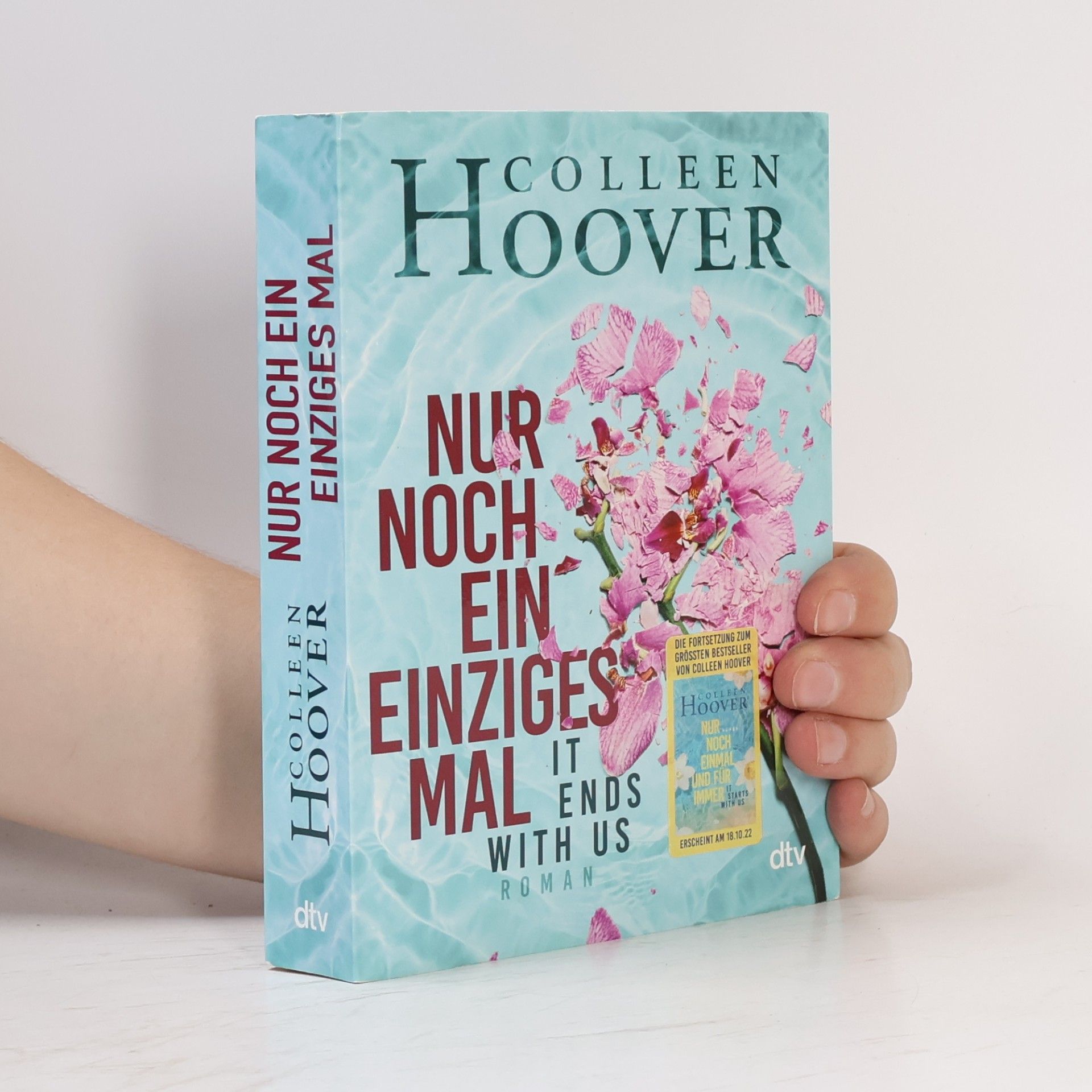 Colleen Hoover Nur noch ein einziges Mal
