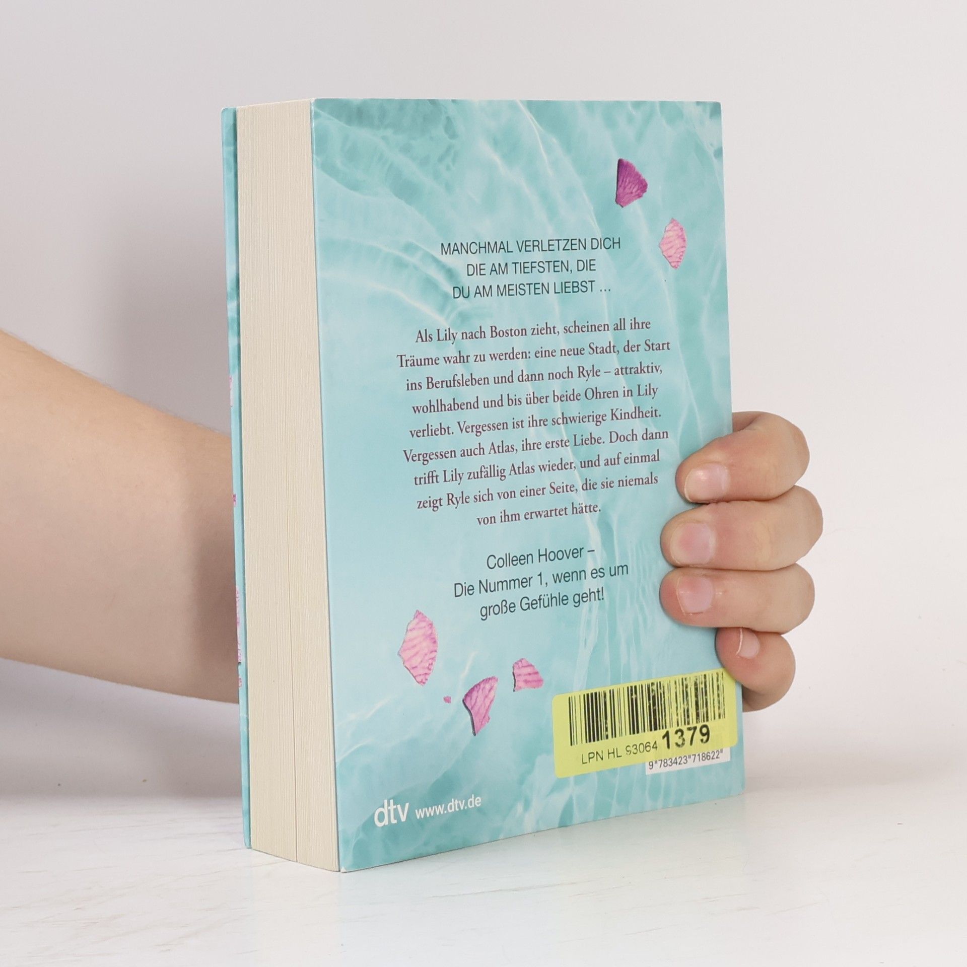 Colleen Hoover Nur noch ein einziges Mal