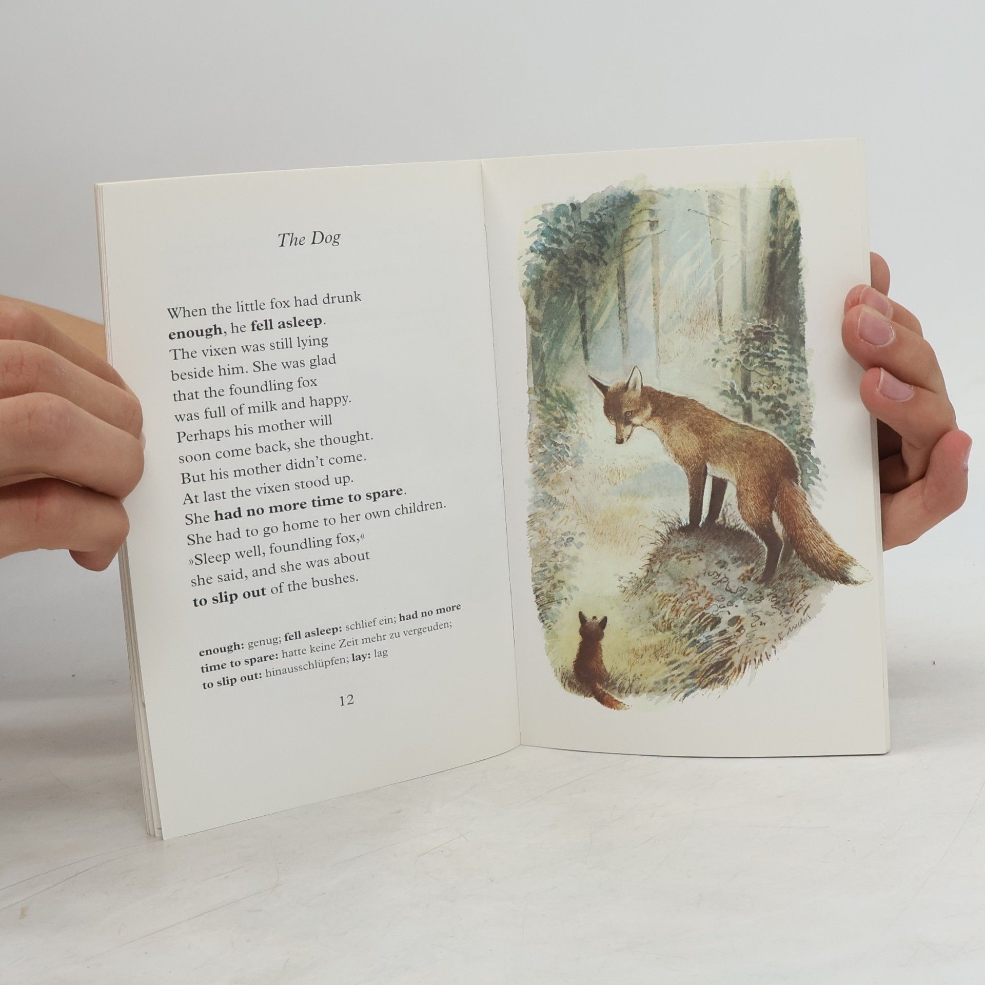 Irina Korschunow Dtv junior: The Foundling Fox - Erstes Englisch - leicht gemacht