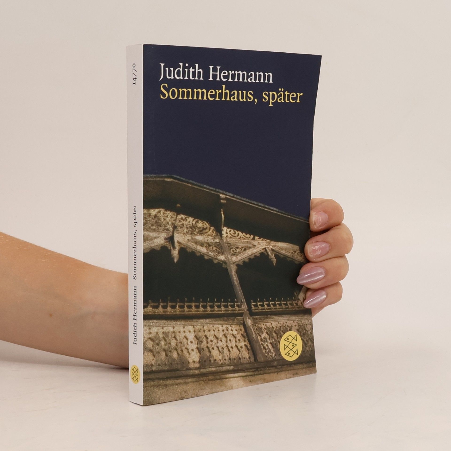 Judith Hermann Sommerhaus, später : Erzählungen