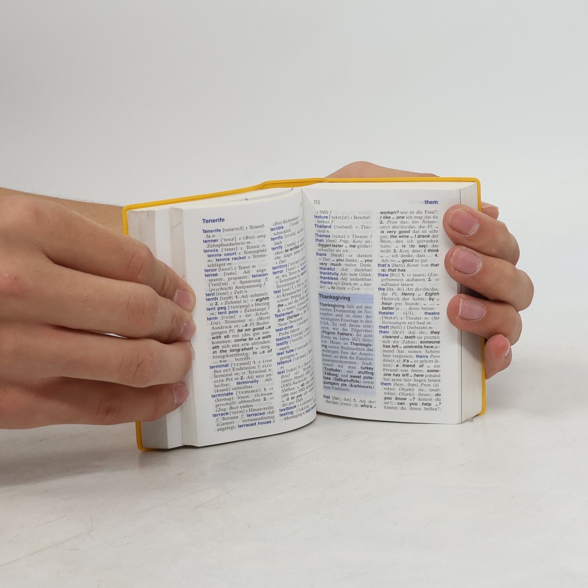 Heike Pleisteiner Langenscheidt, Universal-Wörterbuch Englisch
