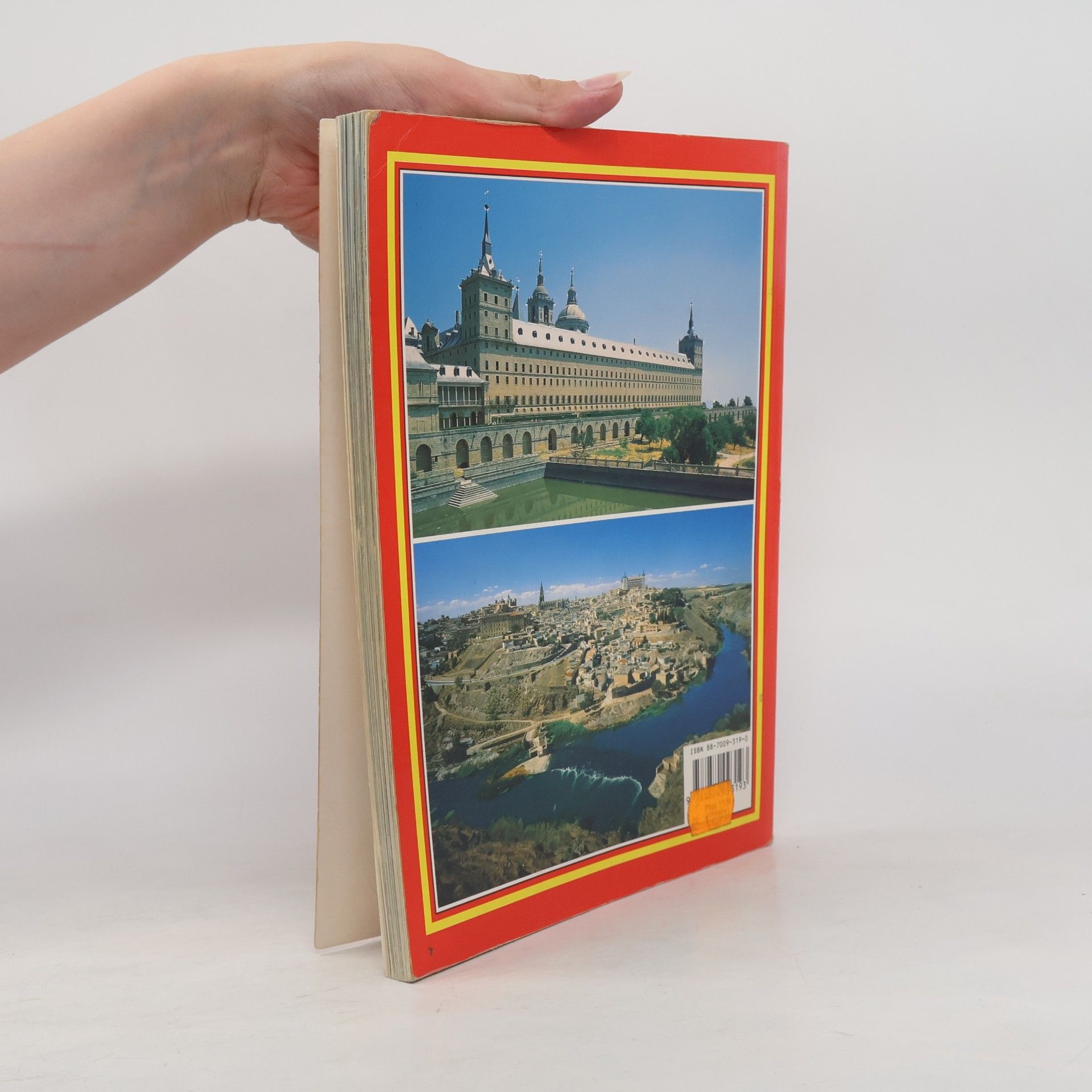 Pierluigi Scialdone El Libro de Oro de Madrid y Toledo