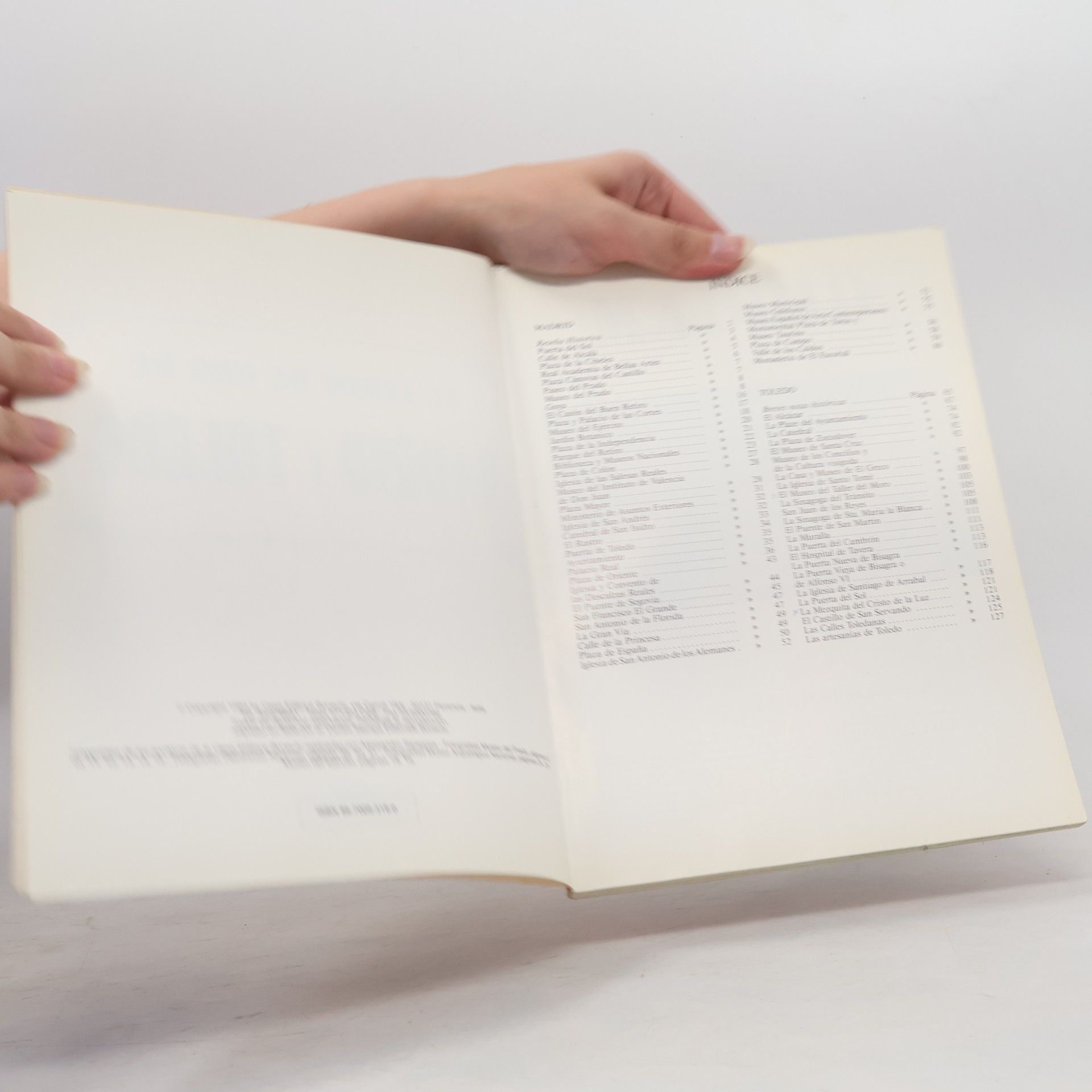 Pierluigi Scialdone El Libro de Oro de Madrid y Toledo