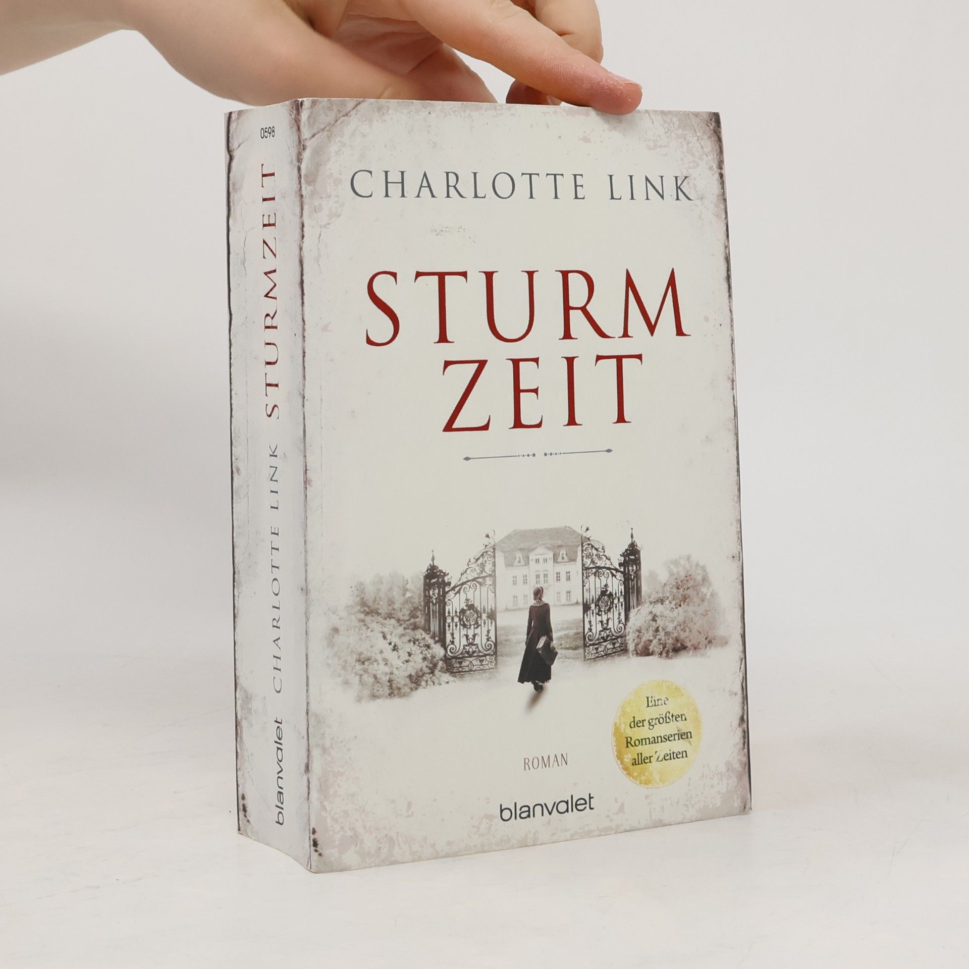 Charlotte Link Sturmzeit