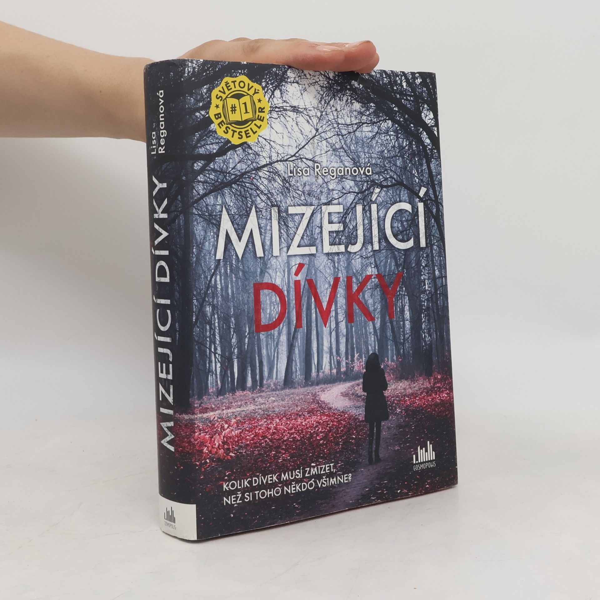 Lisa Regan Mizející dívky