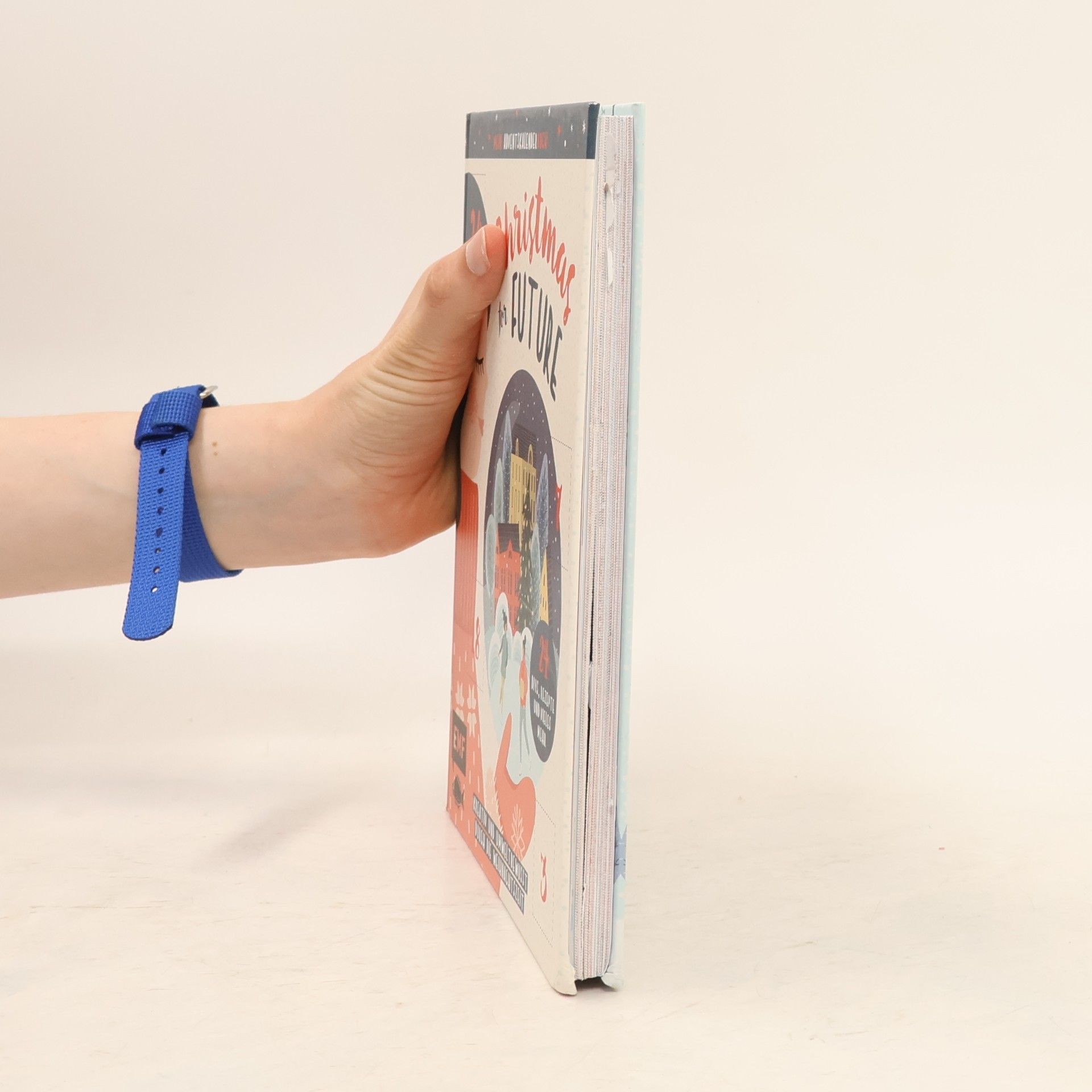 Kolektív autorov Mein Adventskalender-Buch: Christmas for Future – Kreativ und umweltbewusst durch die Weihnachtszeit