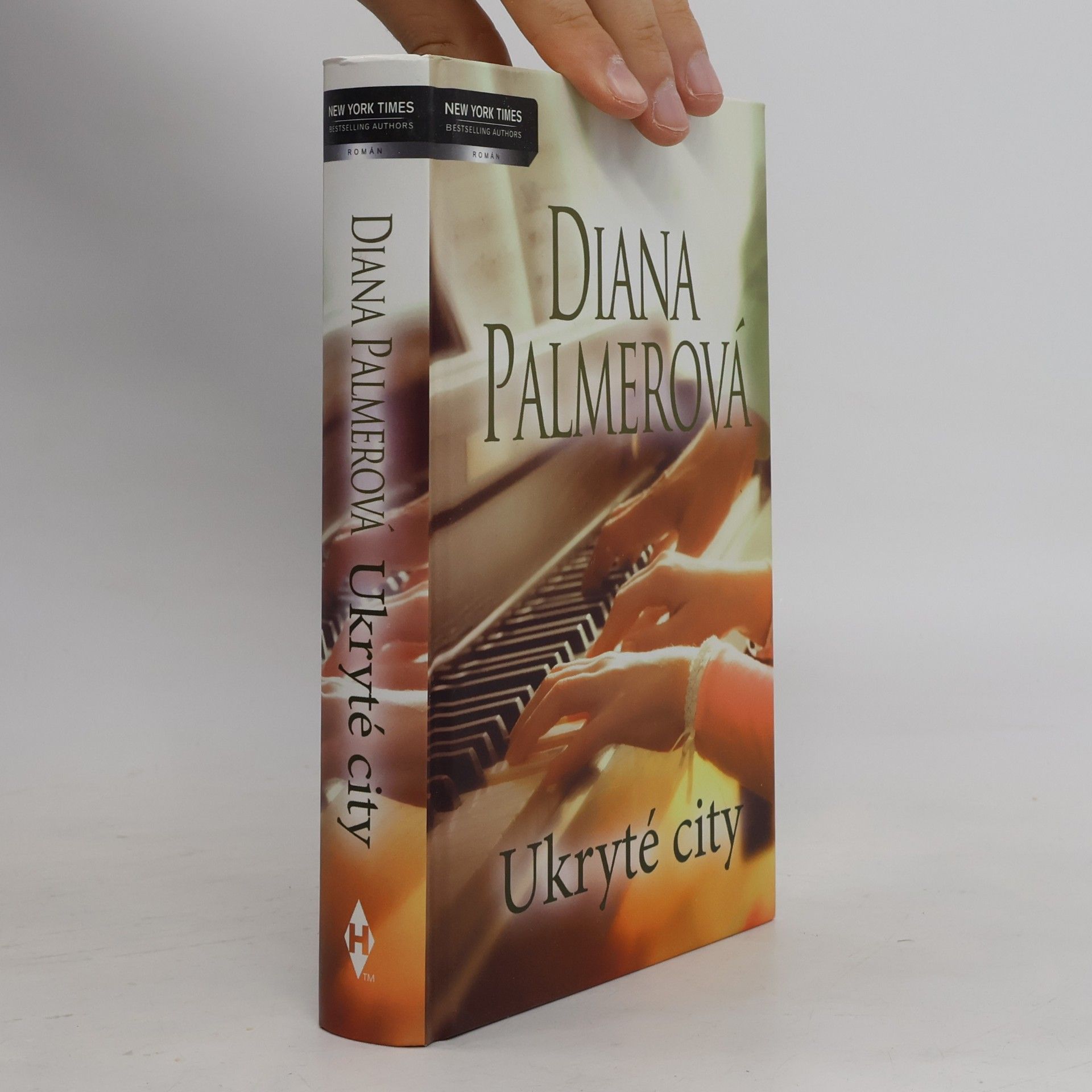 Diana Palmer Ukryté city