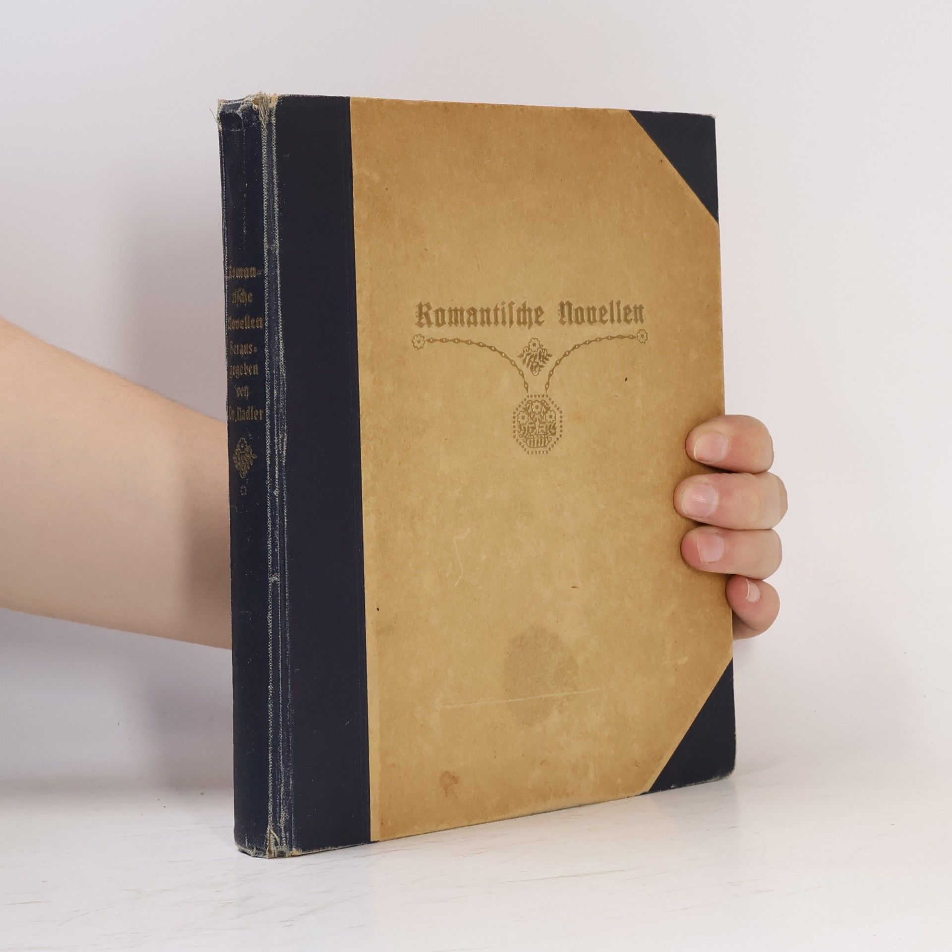 Josef Radler Romantische Novellen