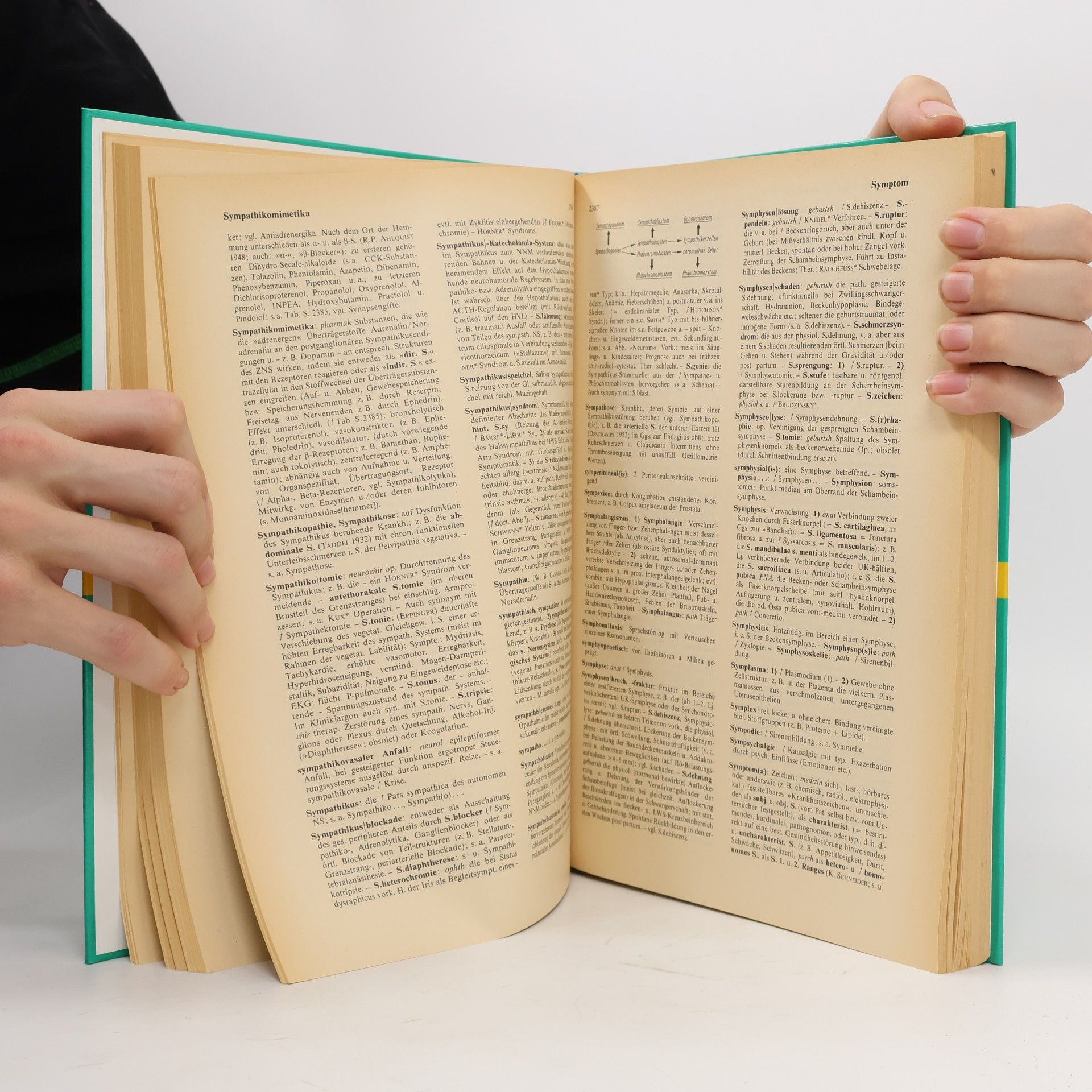 Autorenkollektiv Thiele Handlexikon der Medizin S-Z