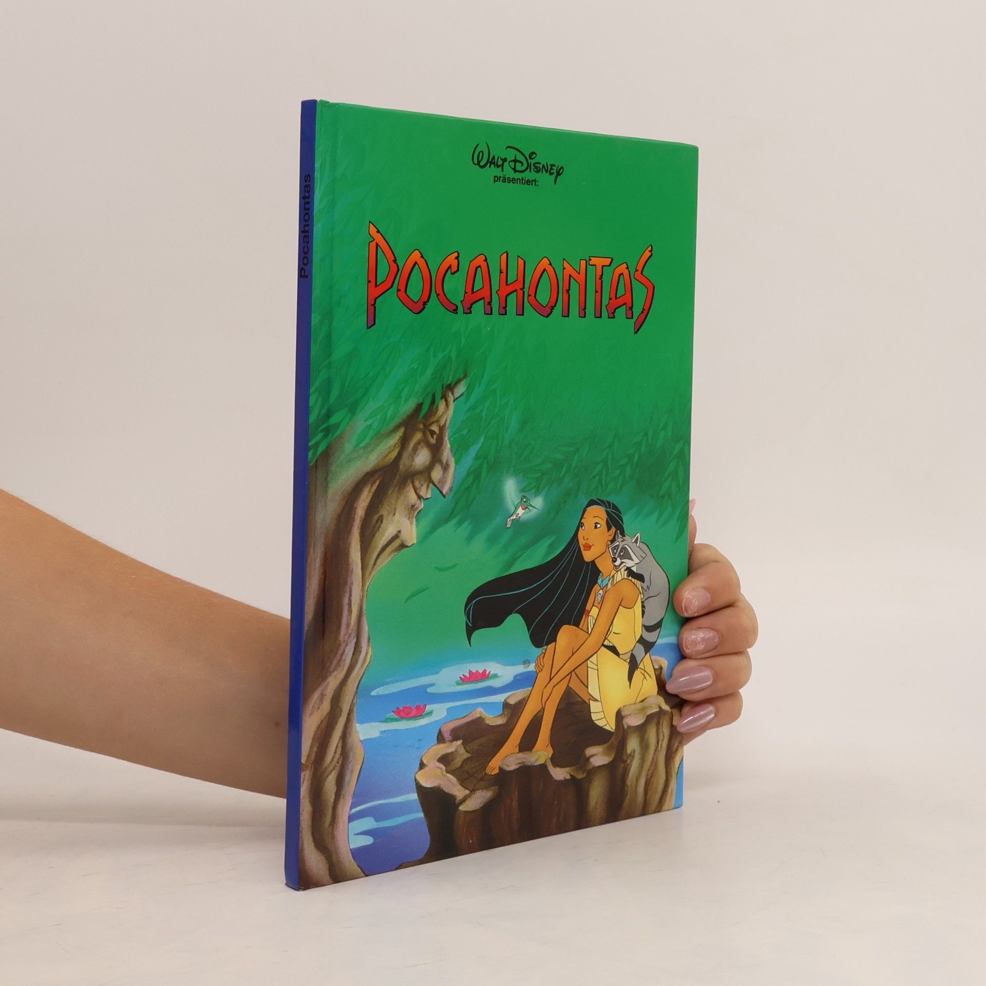 Autorenkollektiv Pocahontas