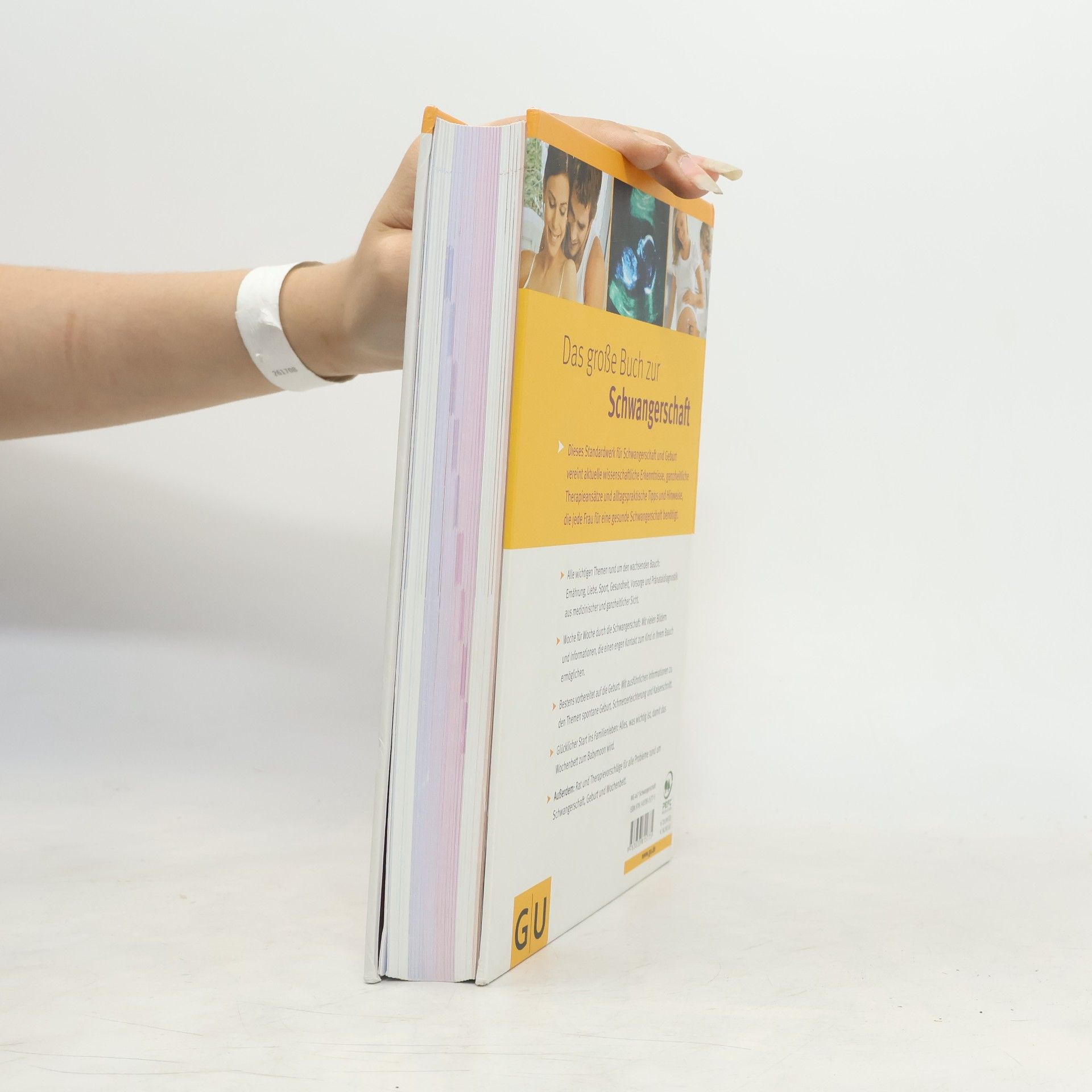Annette Nolden Das große Buch zur Schwangerschaft