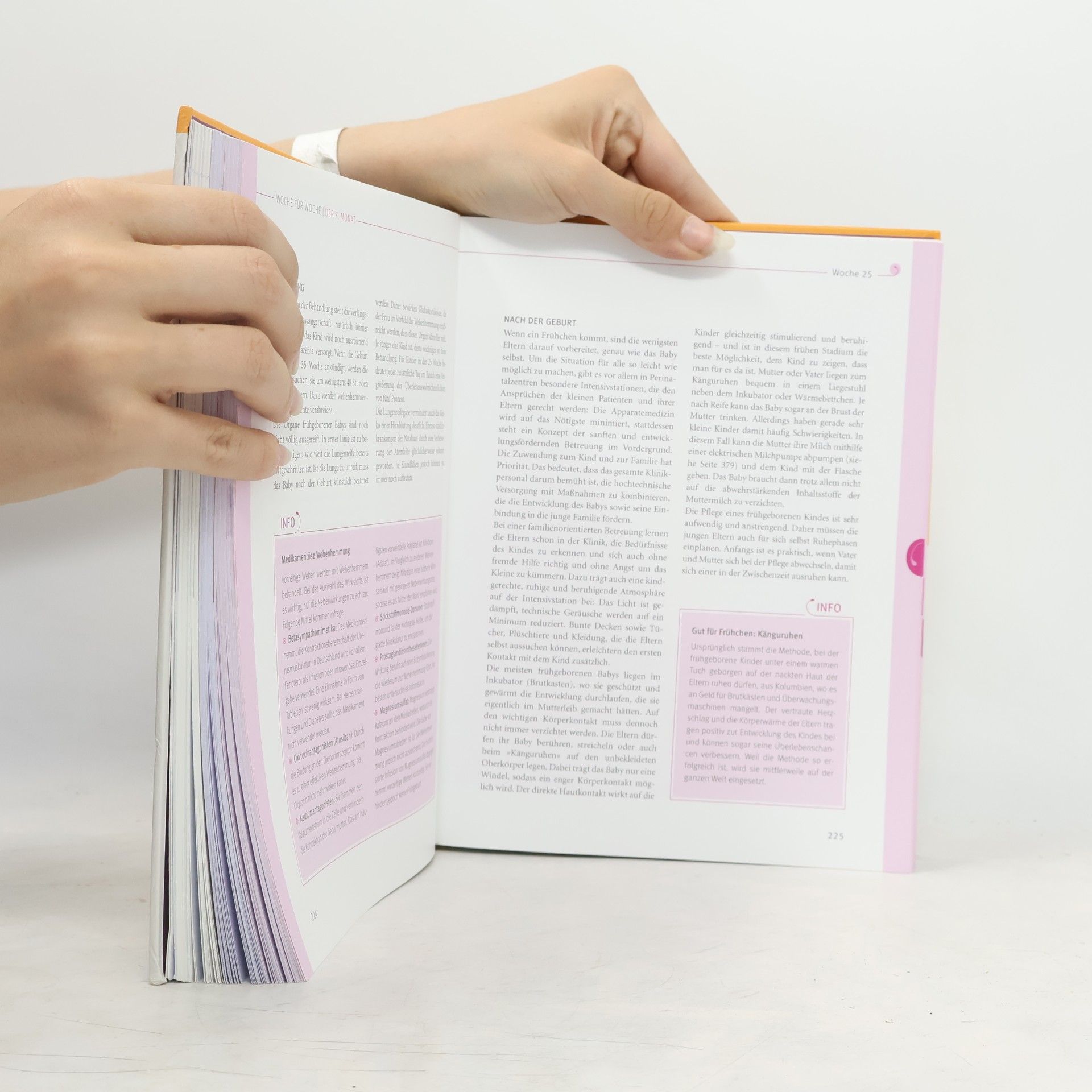 Annette Nolden Das große Buch zur Schwangerschaft