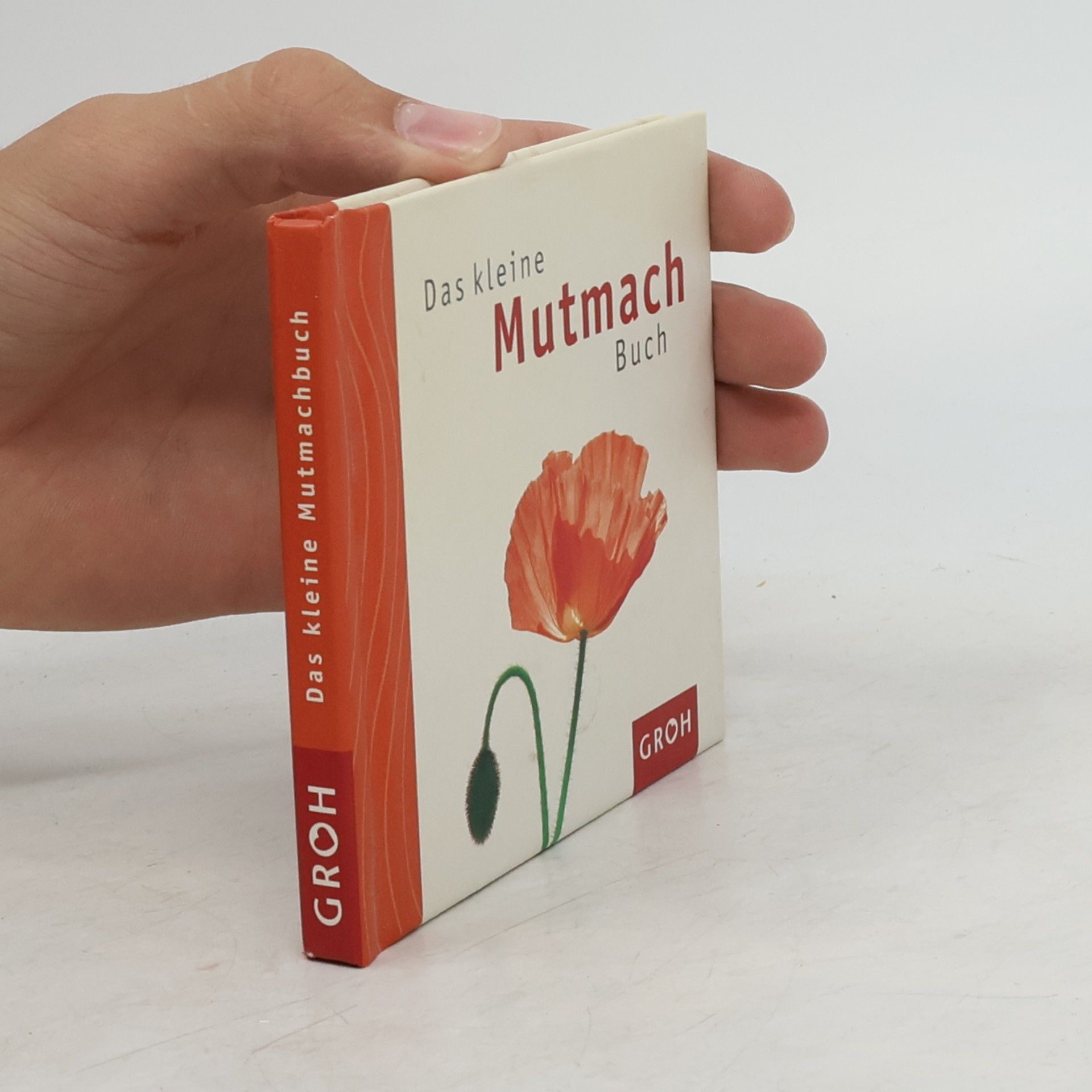 Celeste Marin Das kleine Mutmach-Buch