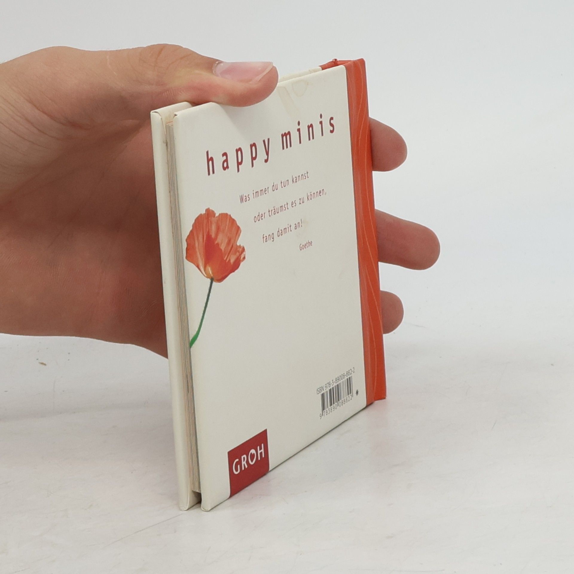 Celeste Marin Das kleine Mutmach-Buch