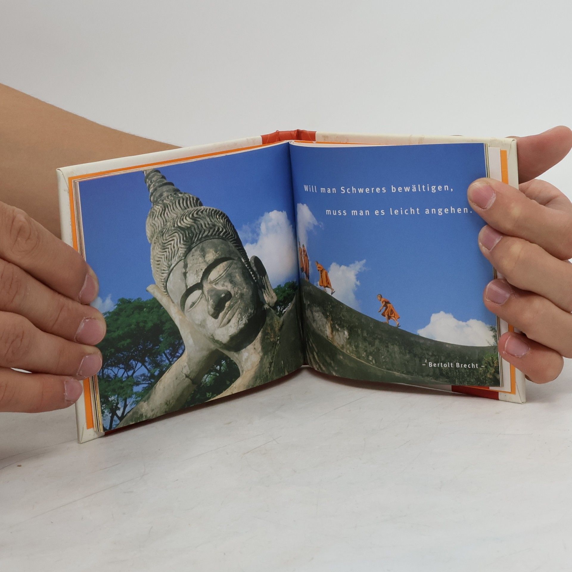 Celeste Marin Das kleine Mutmach-Buch