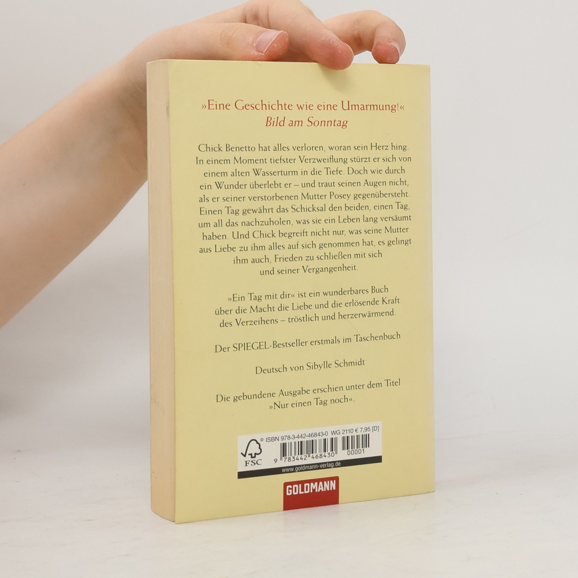 Mitch Albom Ein Tag mit dir