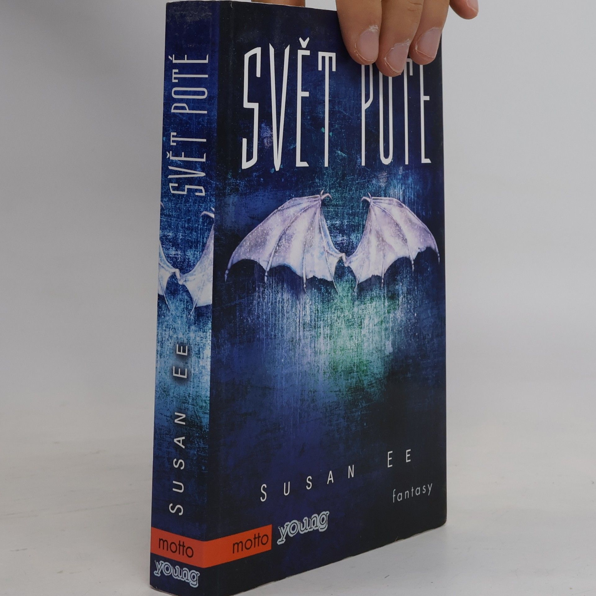 Susan Ee Svět poté