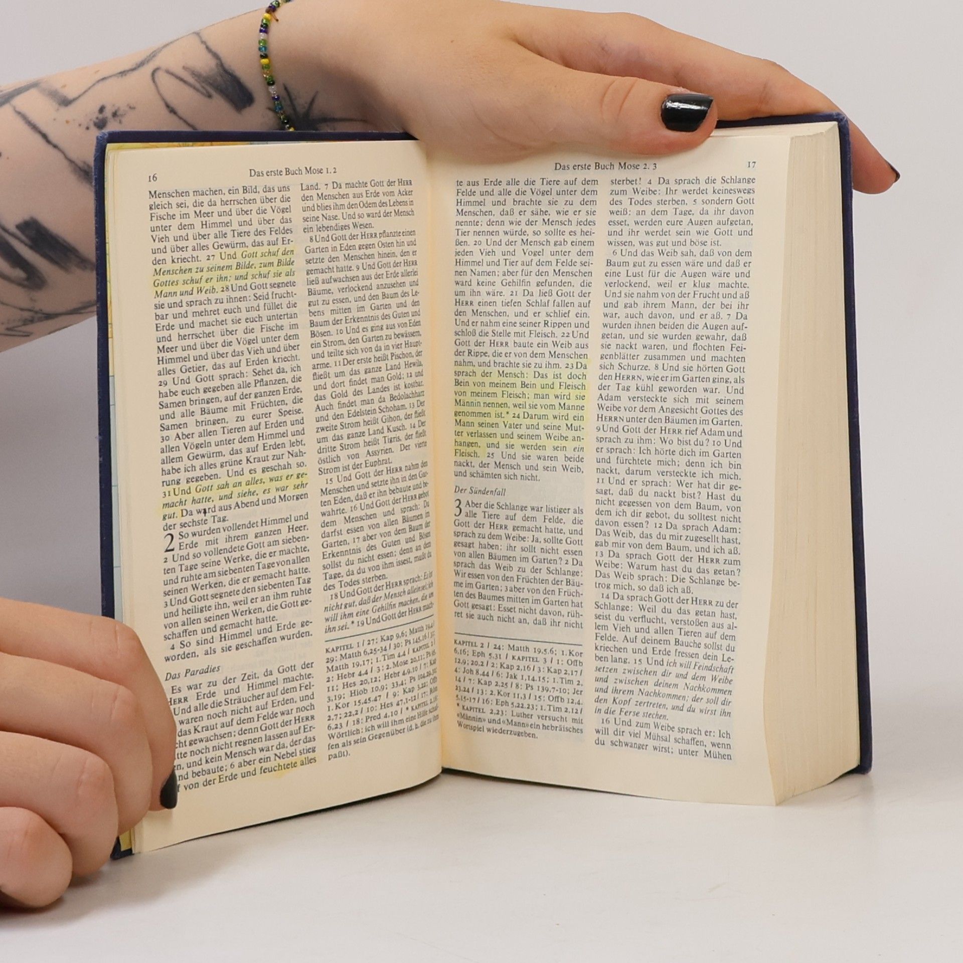 Martin Luther Die Bibel