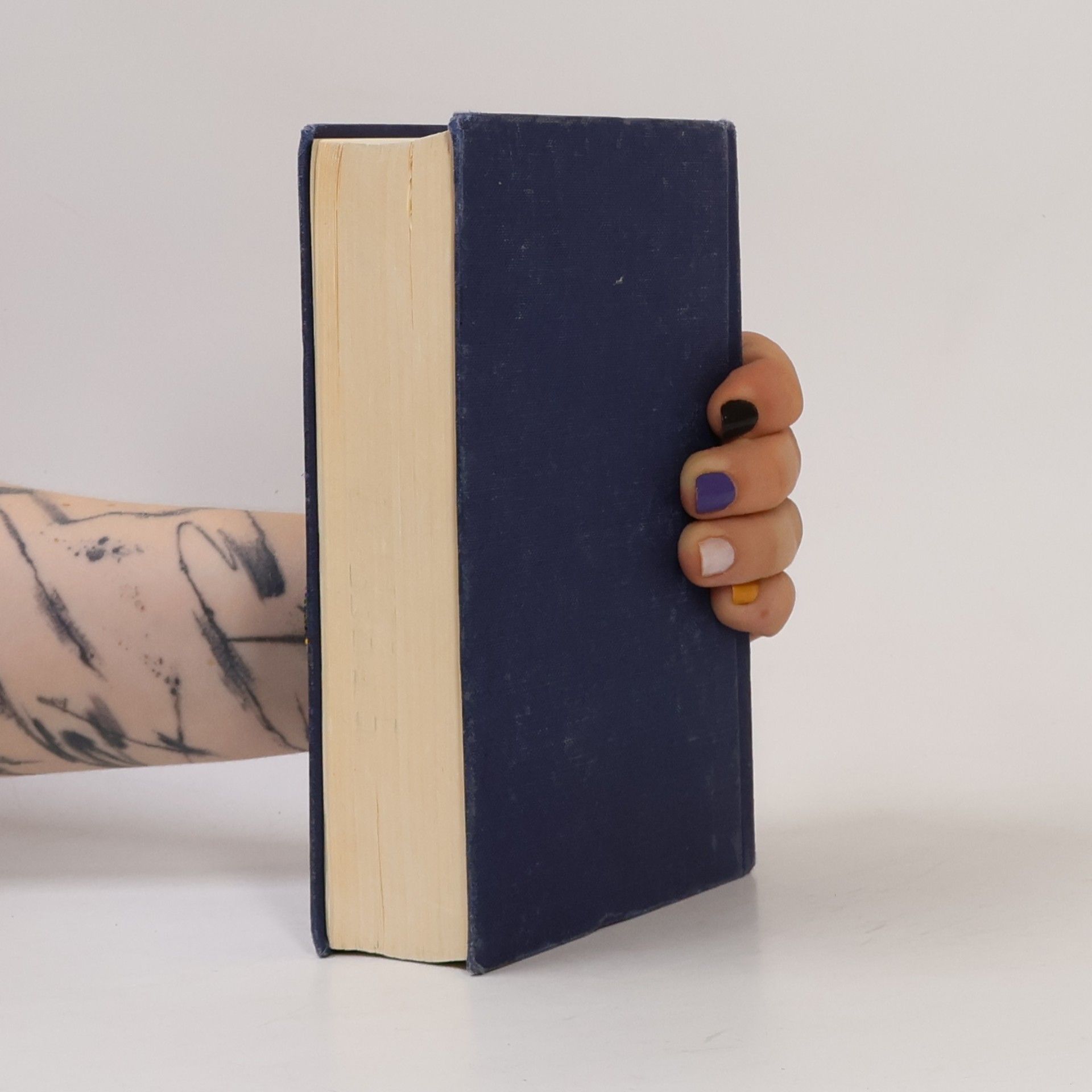 Martin Luther Die Bibel