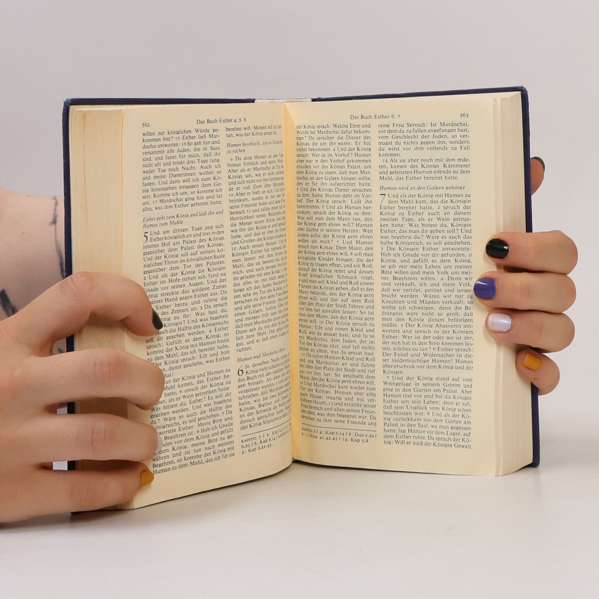 Martin Luther Die Bibel