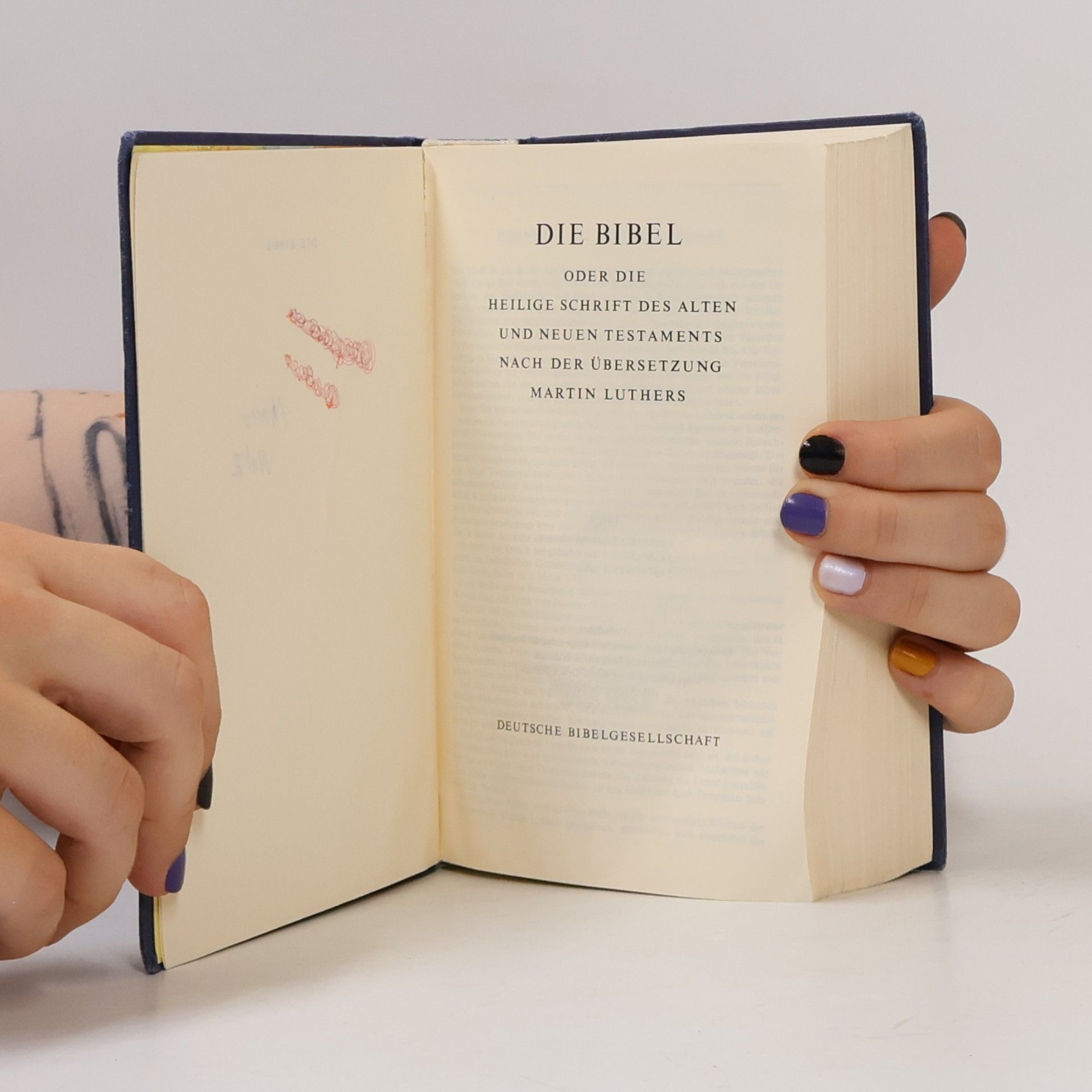 Martin Luther Die Bibel