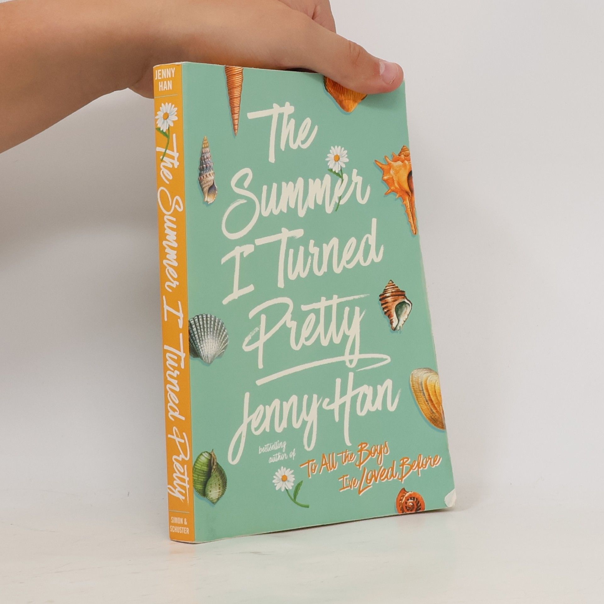 Jenny Han The Summer I Turned Pretty