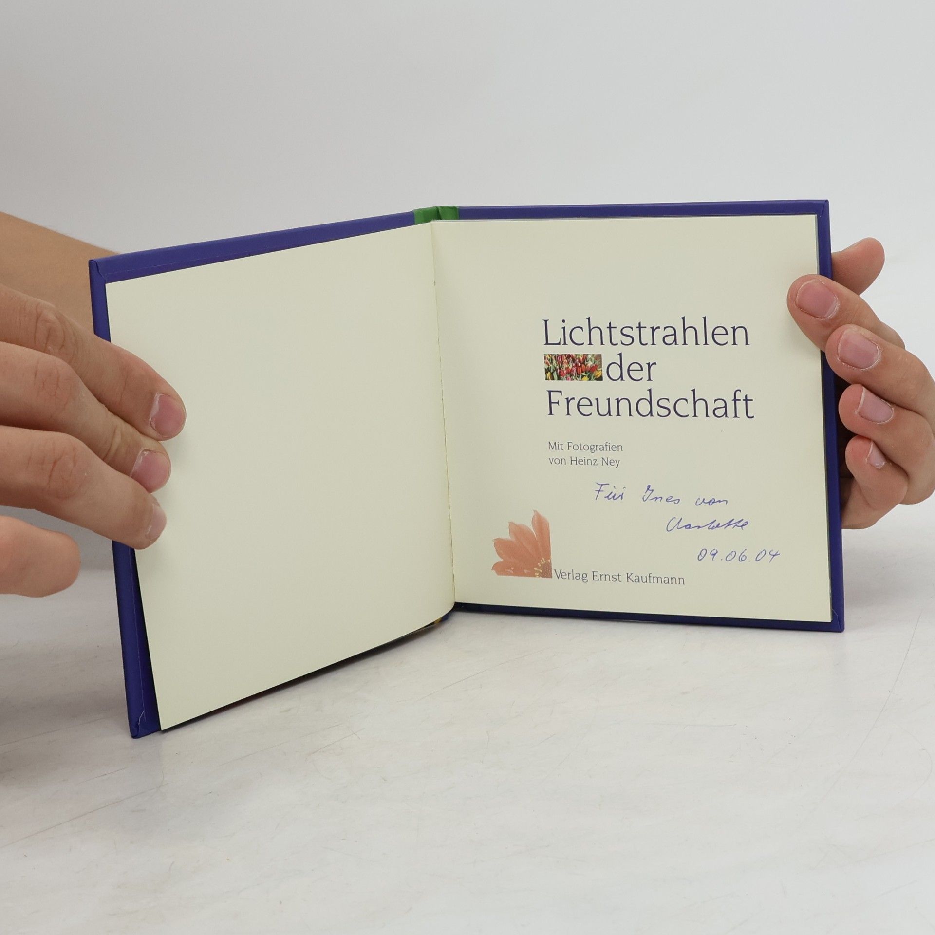 Kaufmann Lichtstrahlen der Freundschaft