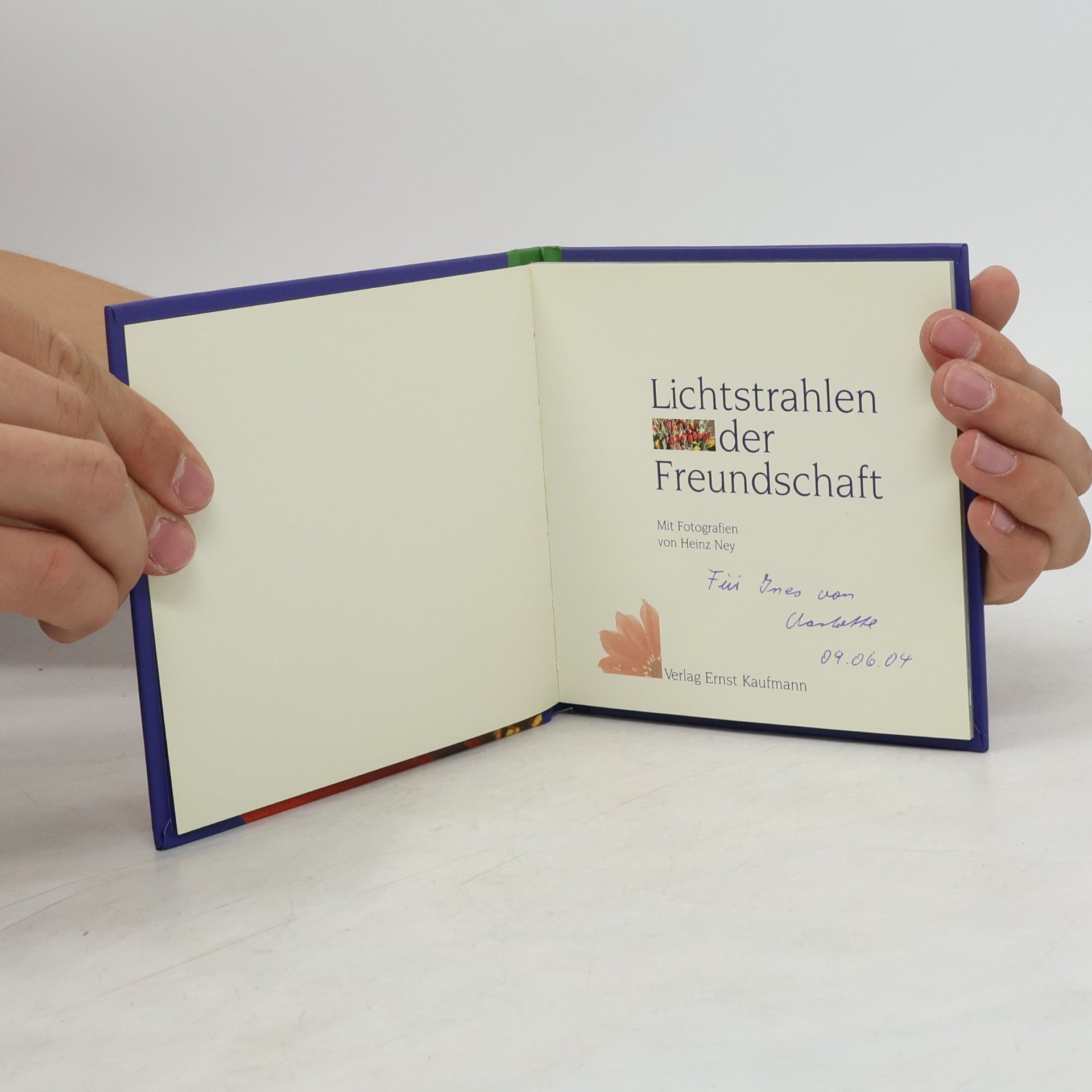Kaufmann Lichtstrahlen der Freundschaft
