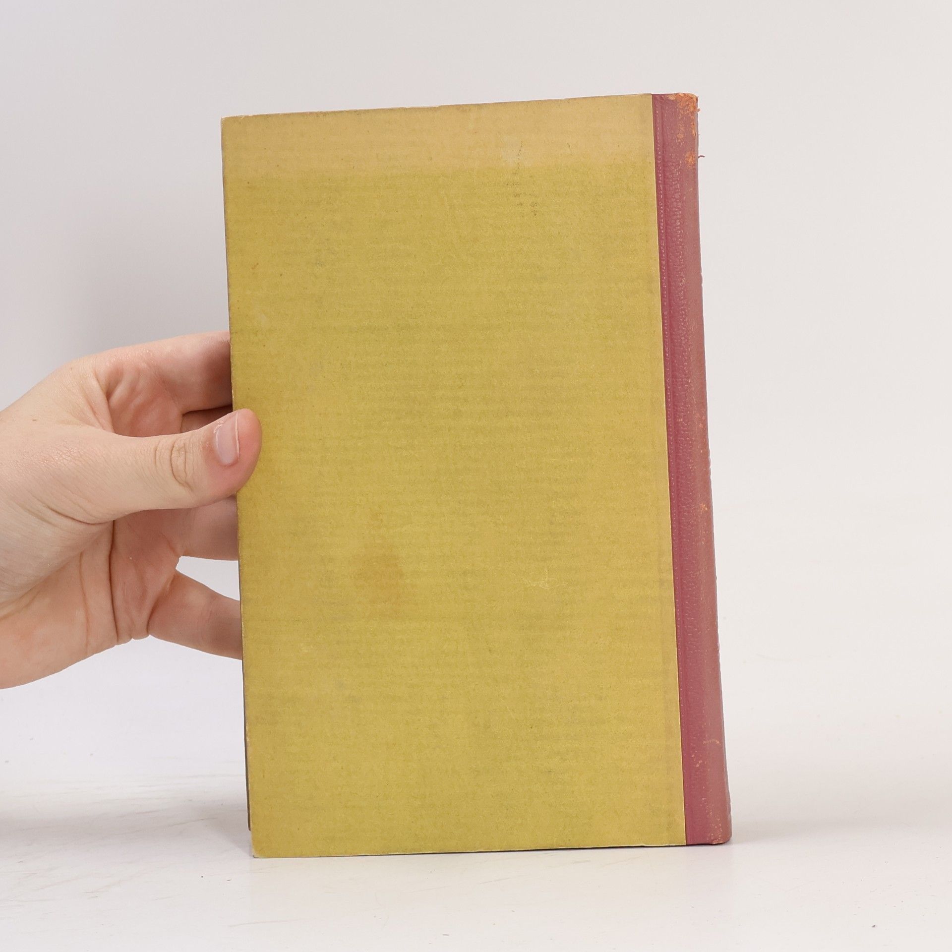 Upton Sinclair Eine neue Pamela
