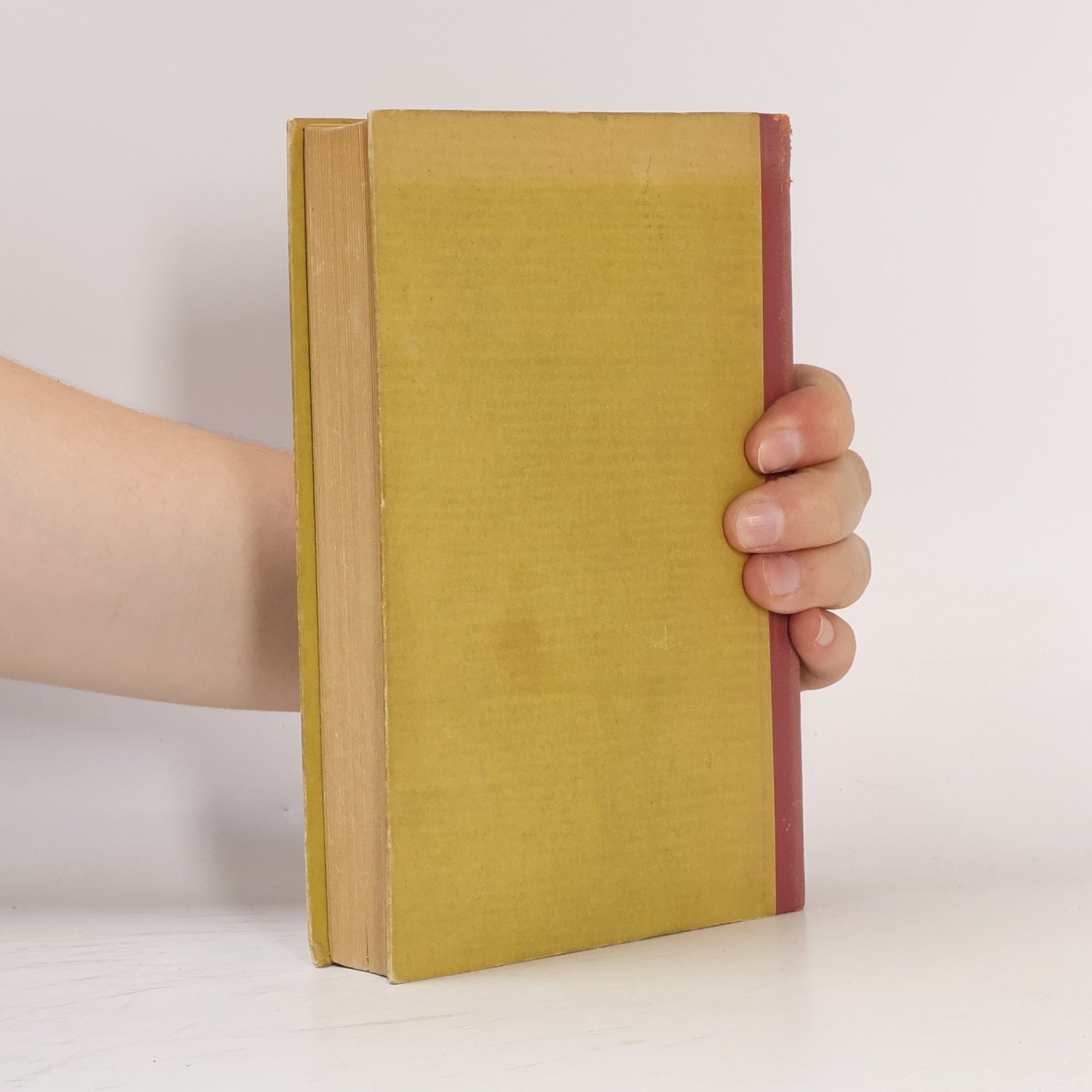 Upton Sinclair Eine neue Pamela