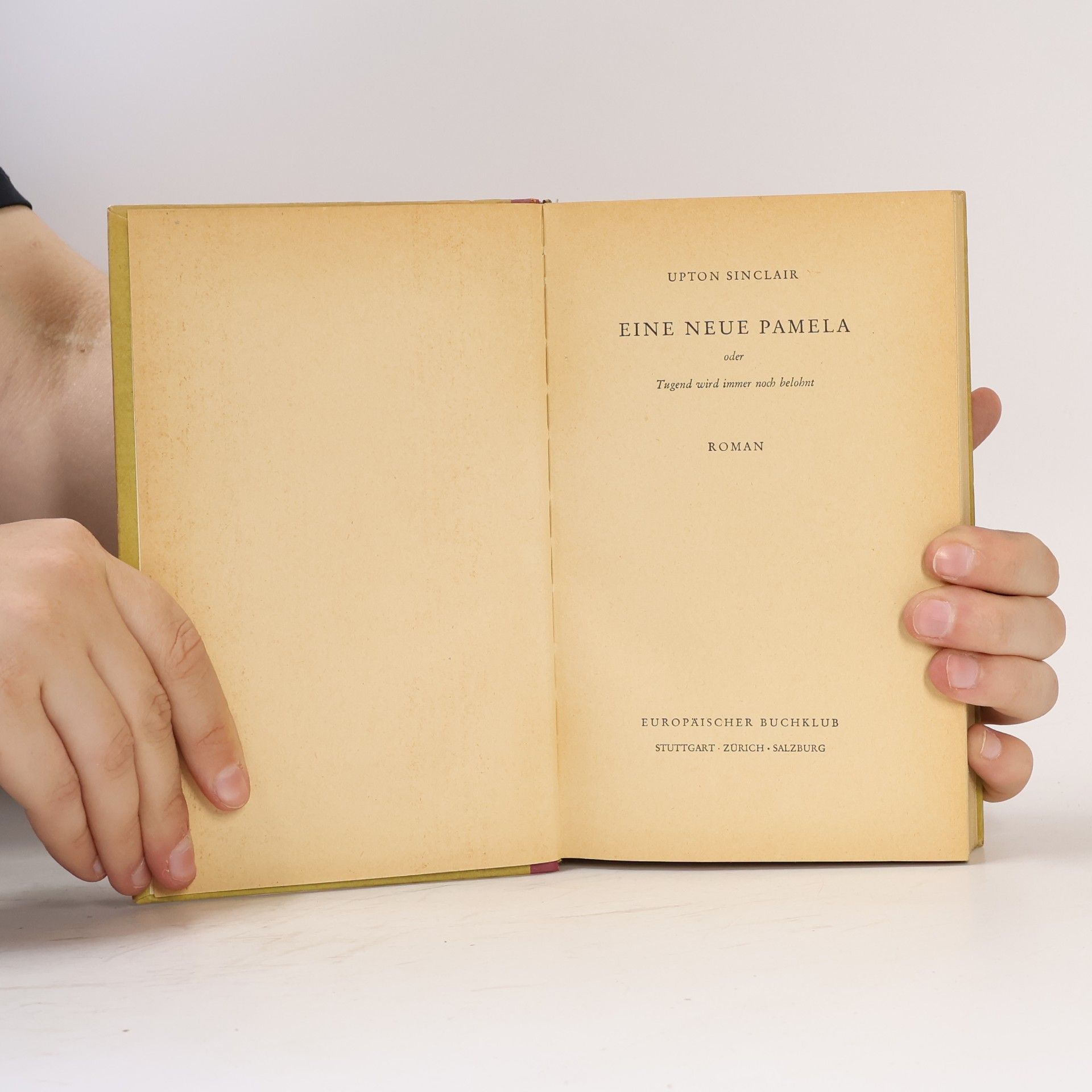 Upton Sinclair Eine neue Pamela