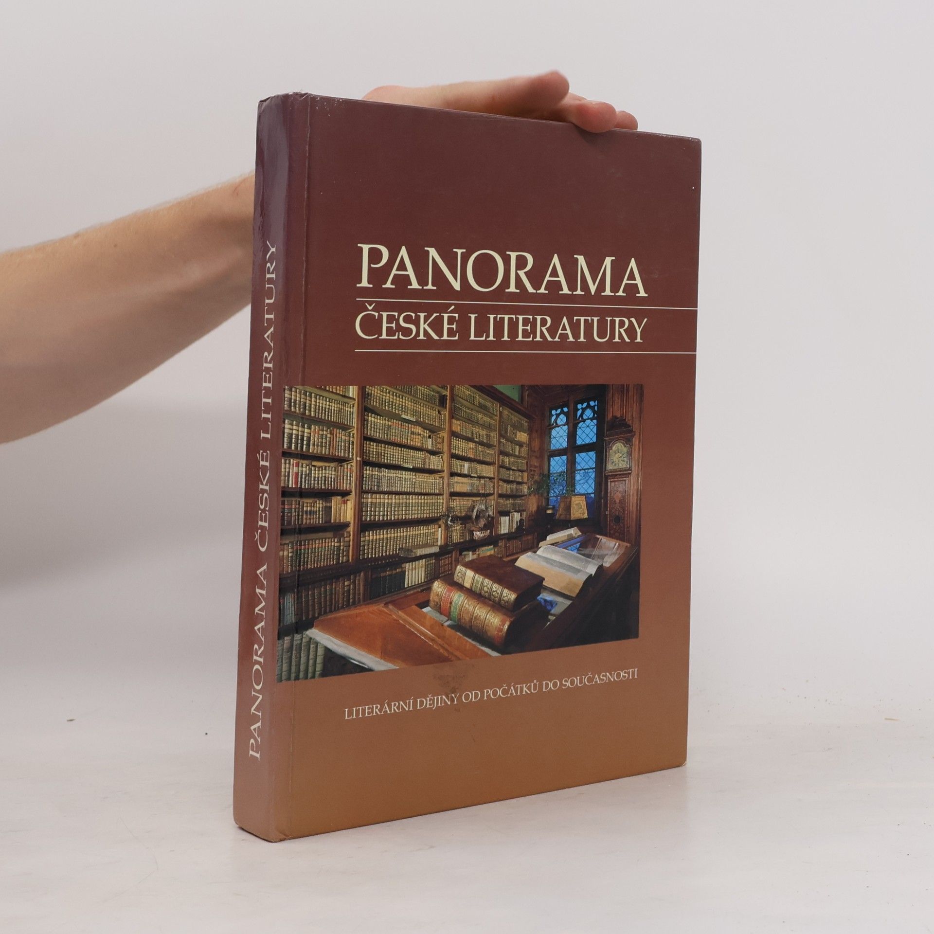 Josef Galík Panorama české literatury. Literární dějiny od počátků do současnosti