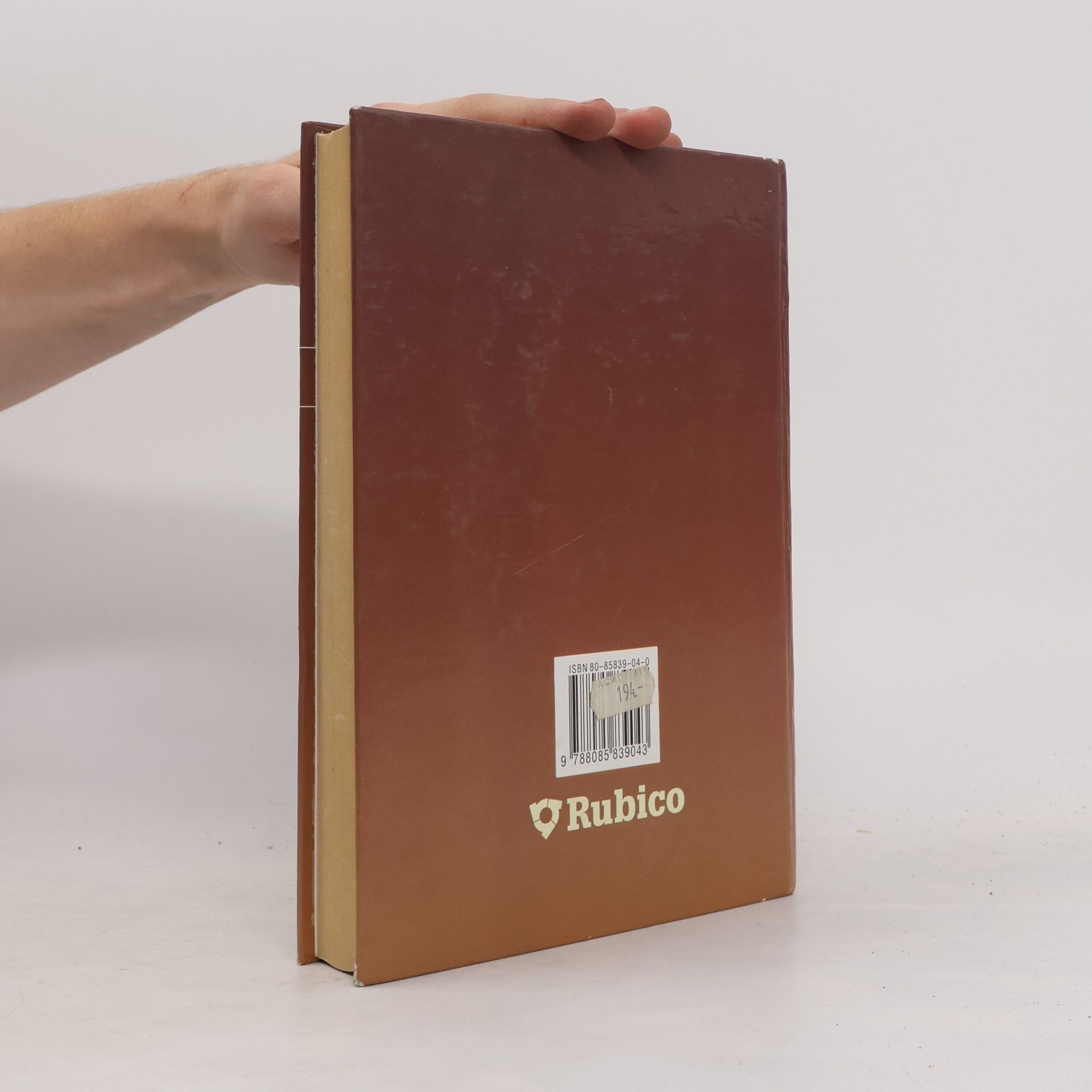Kolektiv autorů Panorama české literatury. Literární dějiny od počátků do současnosti