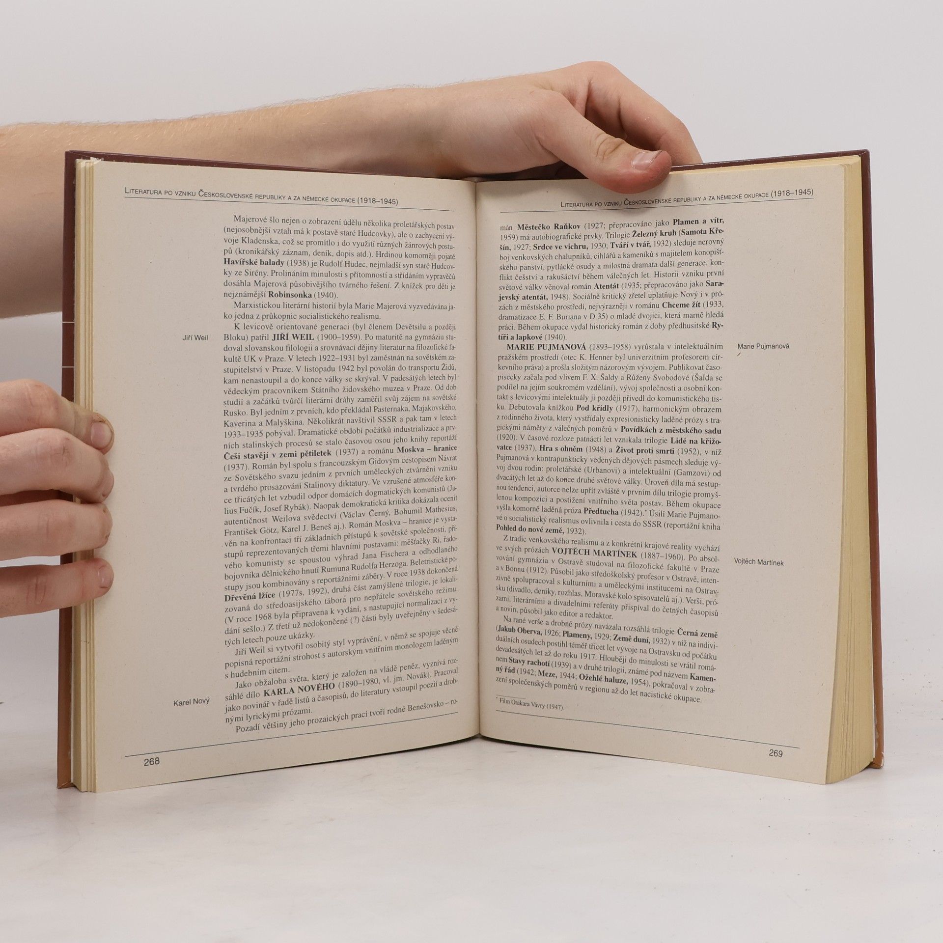 Kolektiv autorů Panorama české literatury. Literární dějiny od počátků do současnosti