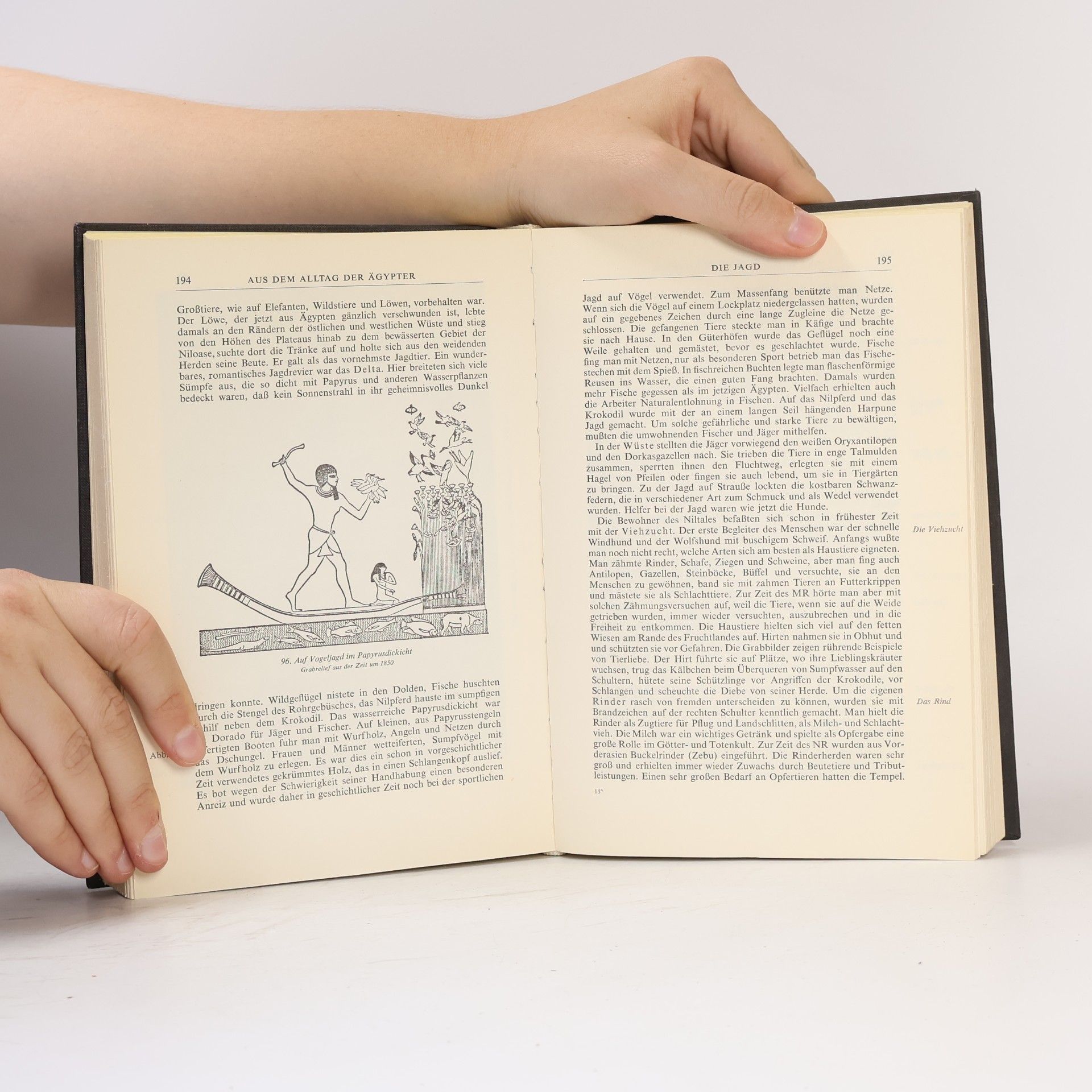 Emil Nack Ägypten und der Vordere Orient im Altertum
