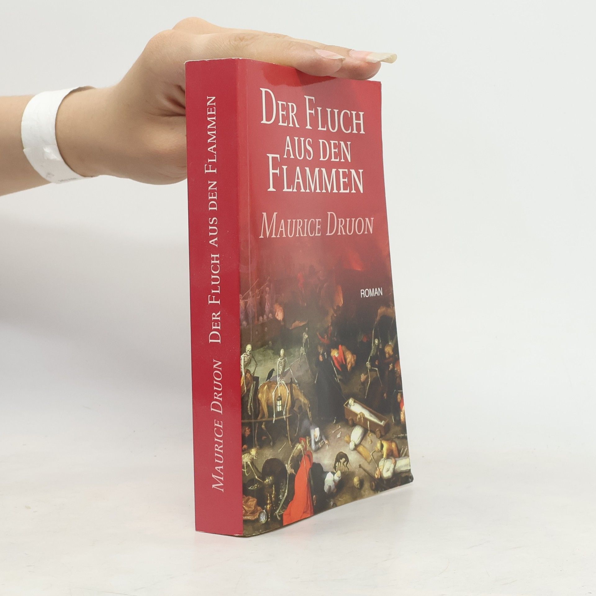 Der Fluch aus den Flammen