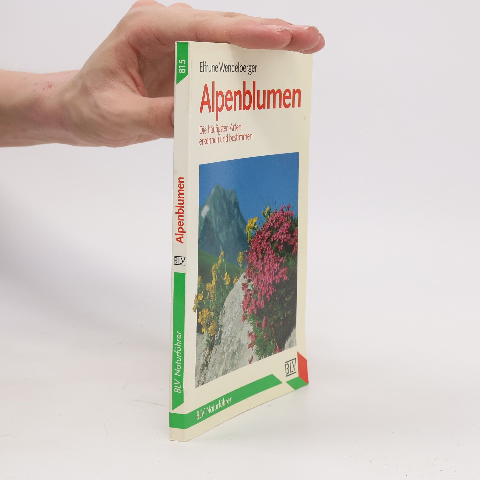 Elfrune Wendelberger Alpenblumen