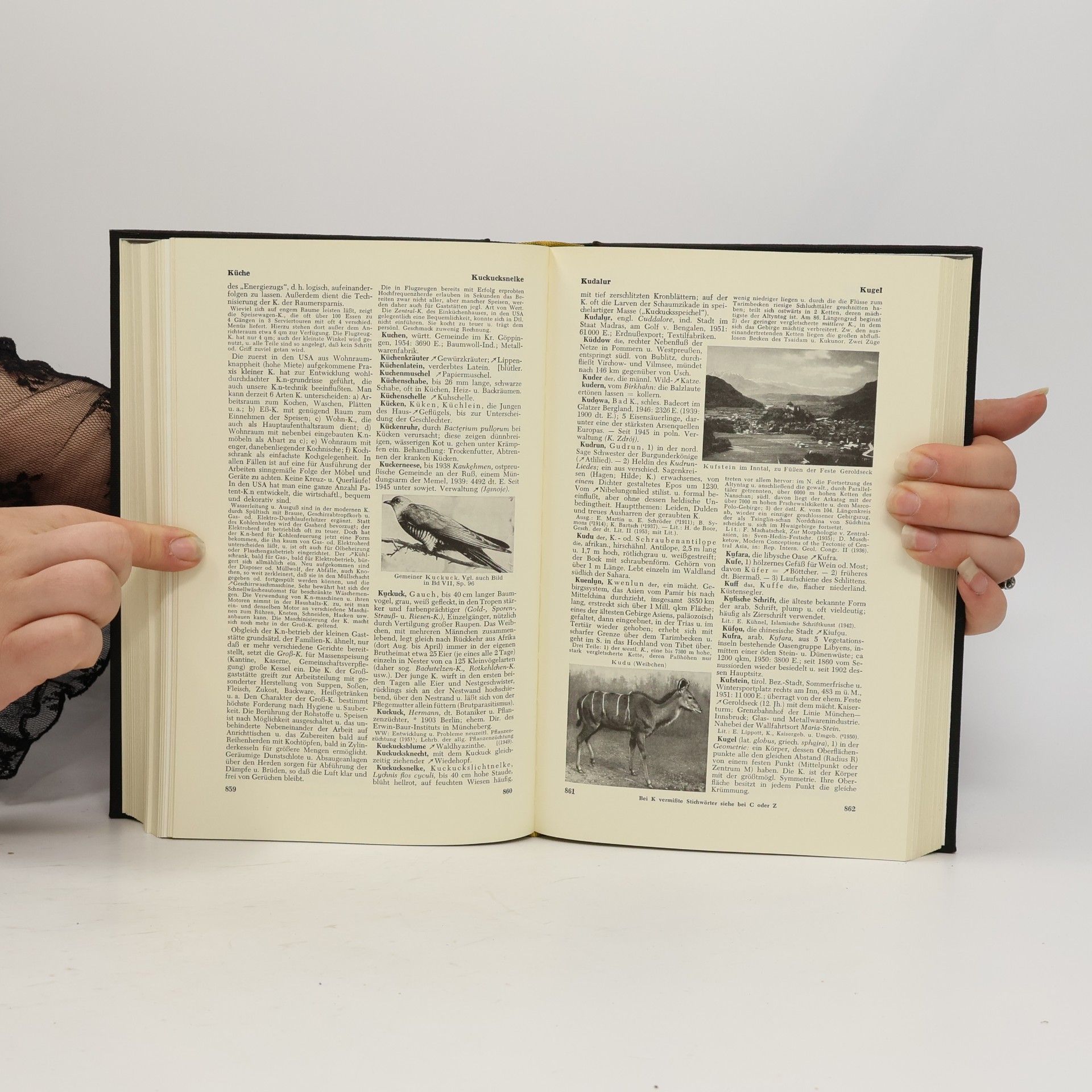 Autorenkollektiv Der Grosse Herder 5