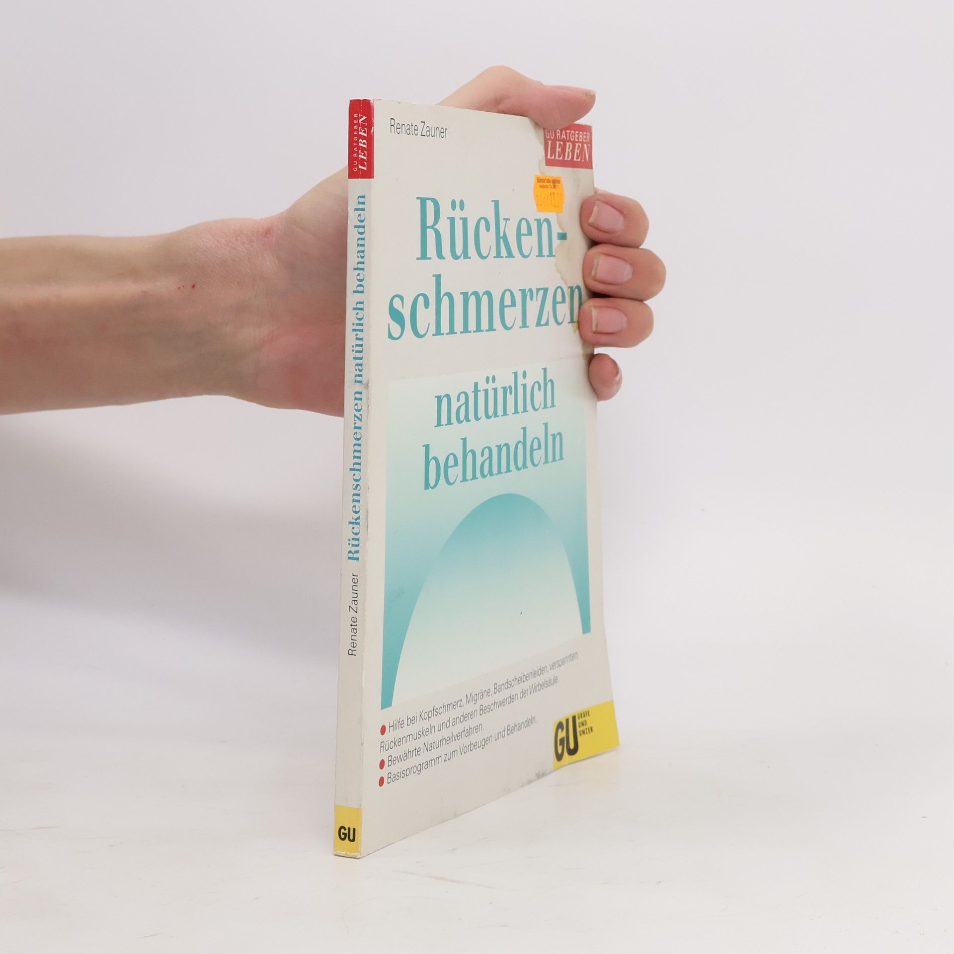 Renate Zauner Rückenschmerzen - natürlich behandeln