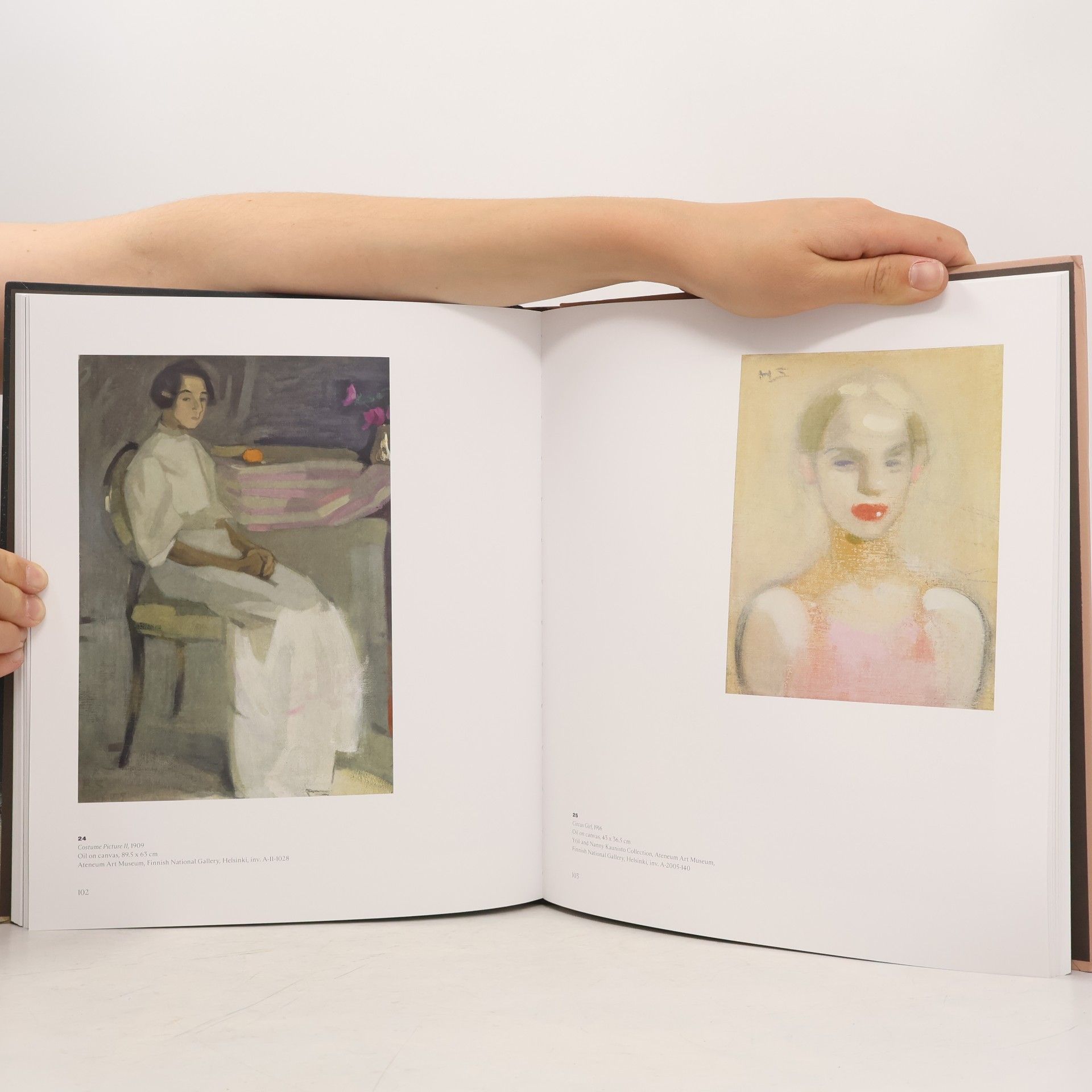 Rebecca Bray Helene Schjerfbeck