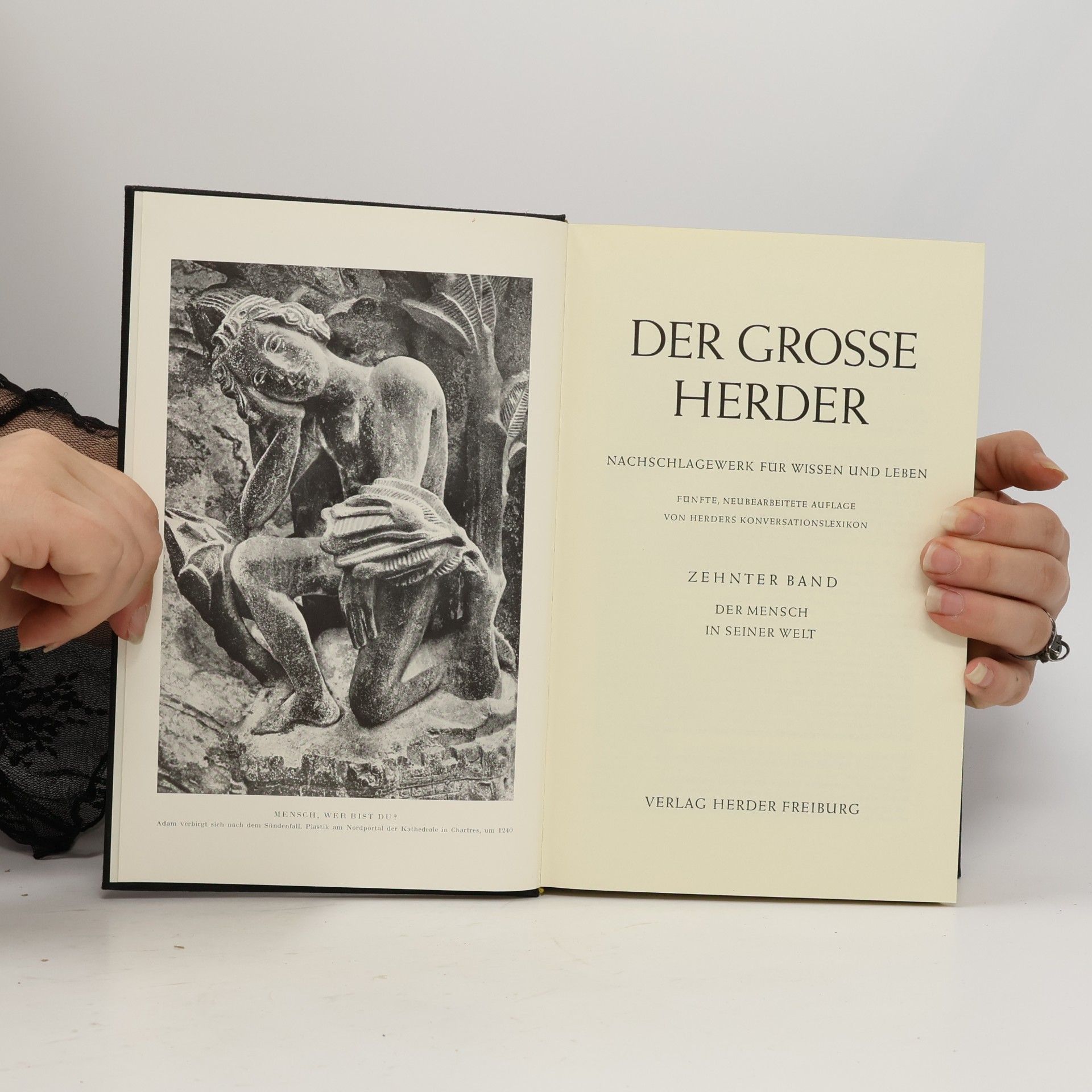 Autorenkollektiv Der grosse Herder 10