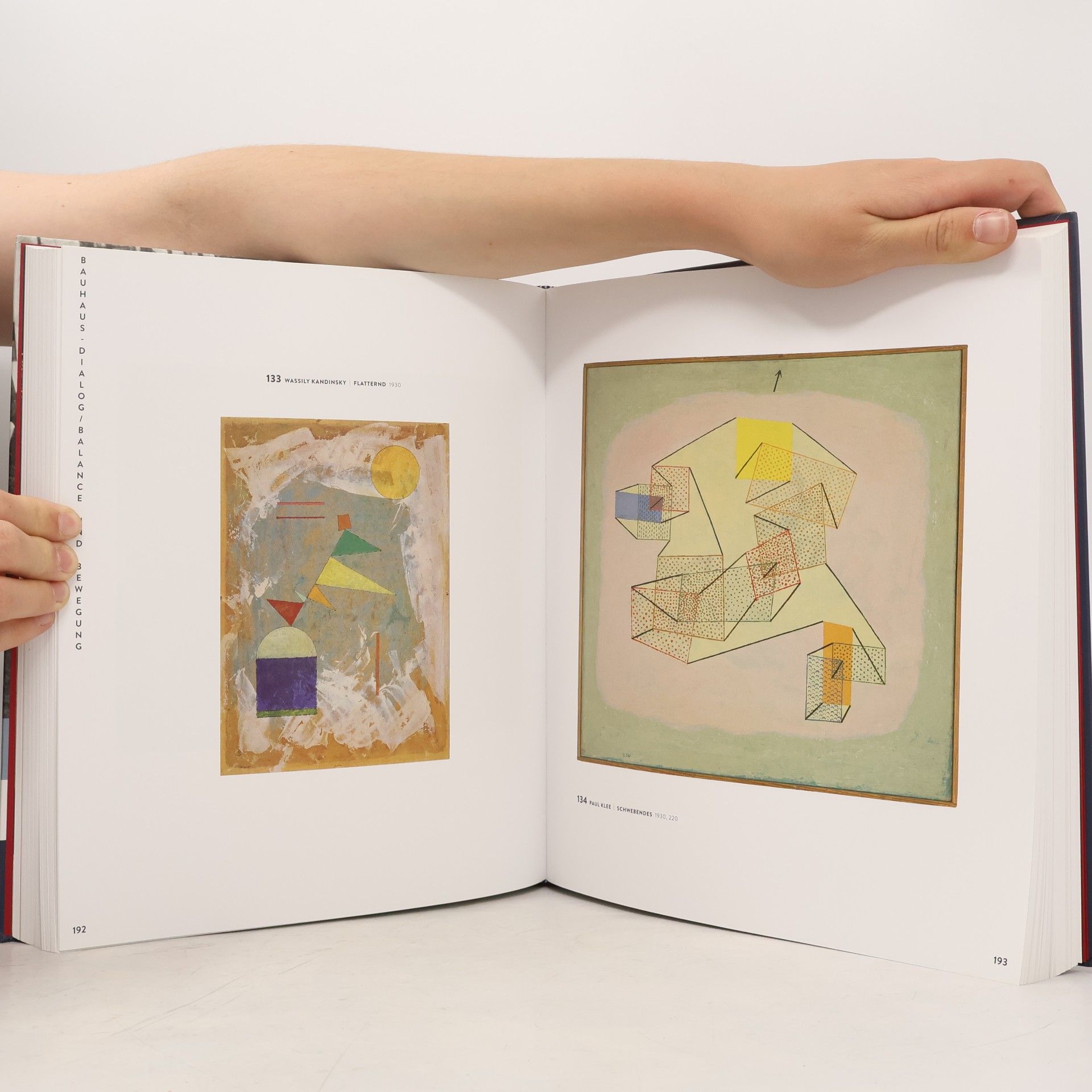 Vivian Endicott Barnett Klee & Kandinsky