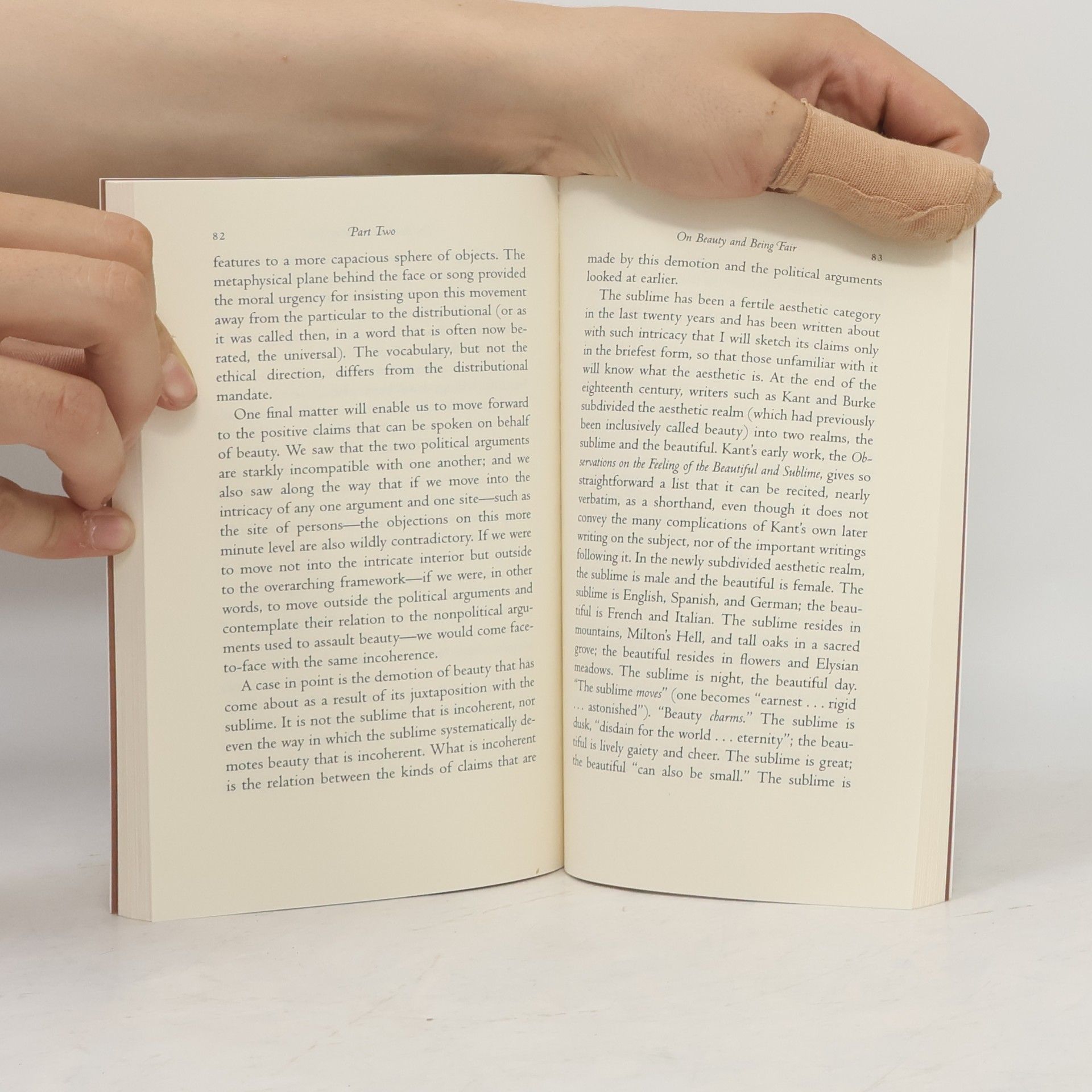 Elaine Scarry On Beauty and Being Just