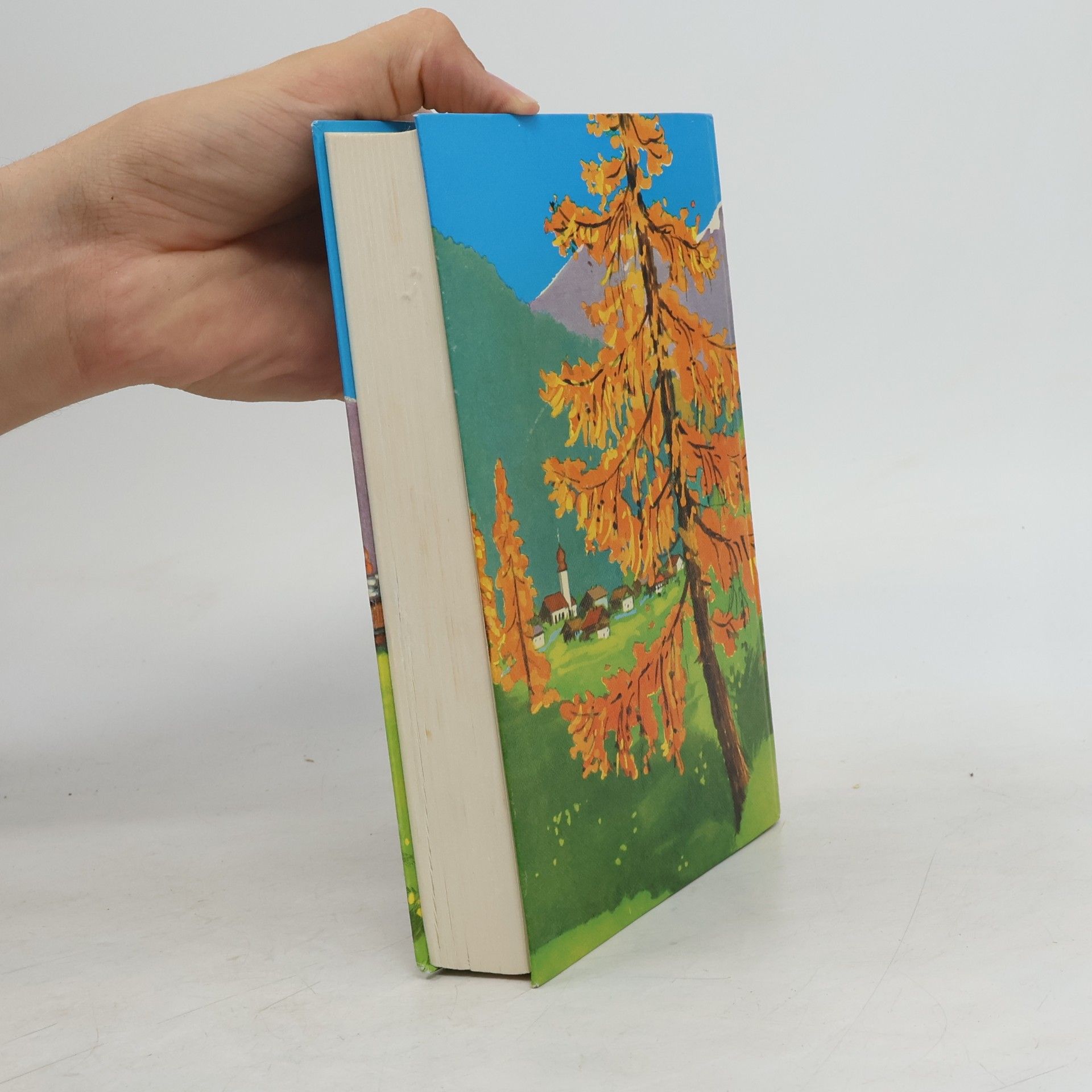 Johanna Spyri Das große Spyri-Buch