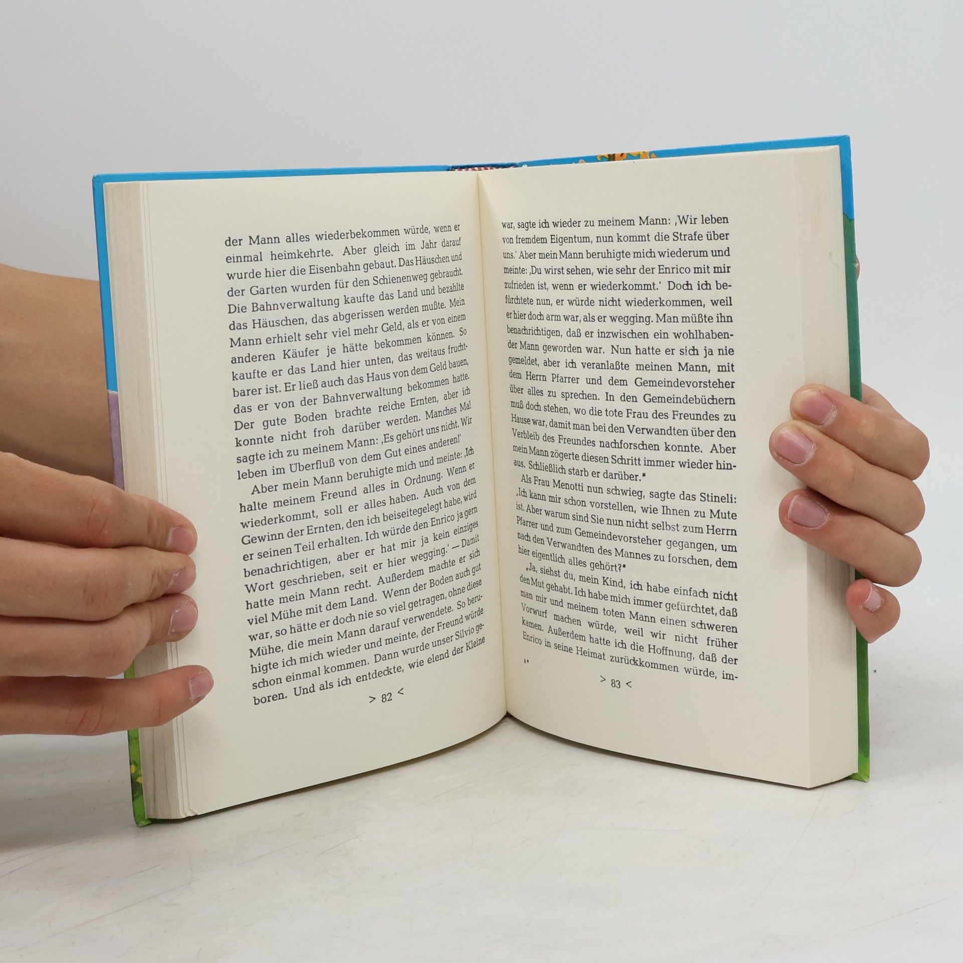 Johanna Spyri Das große Spyri-Buch
