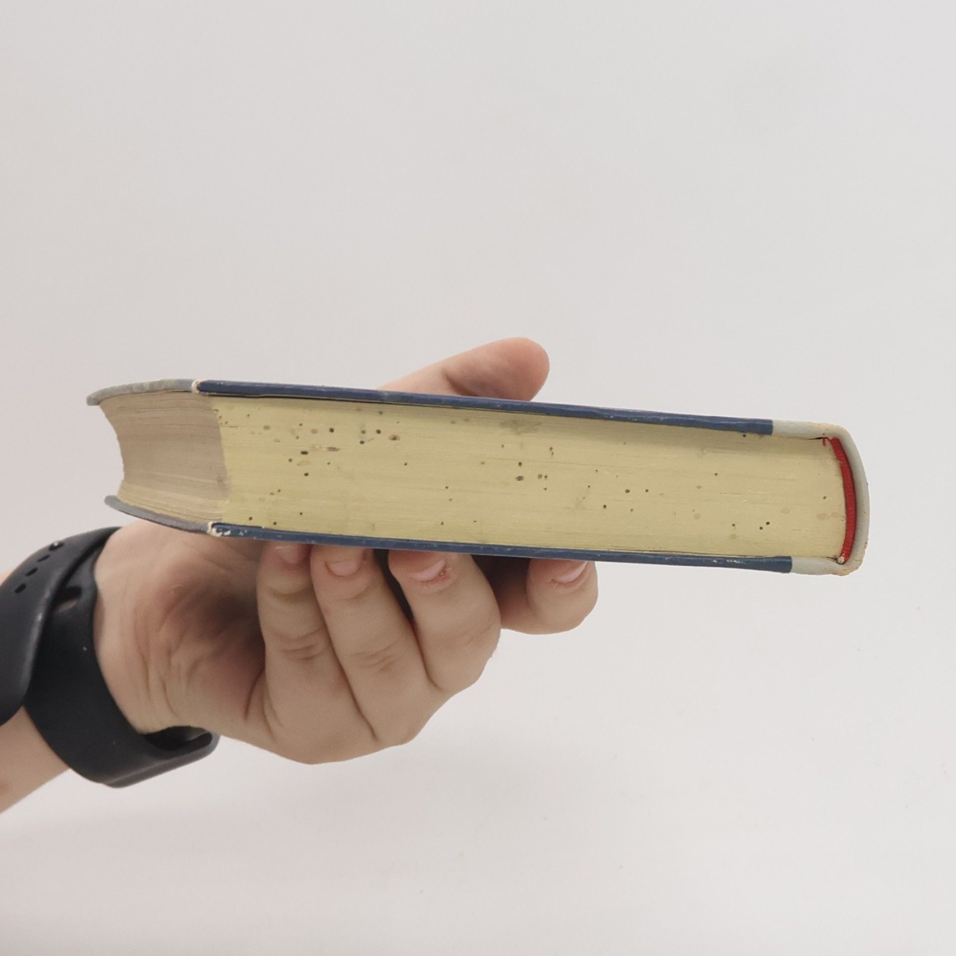 Harper Lee Wer die Nachtigall stört