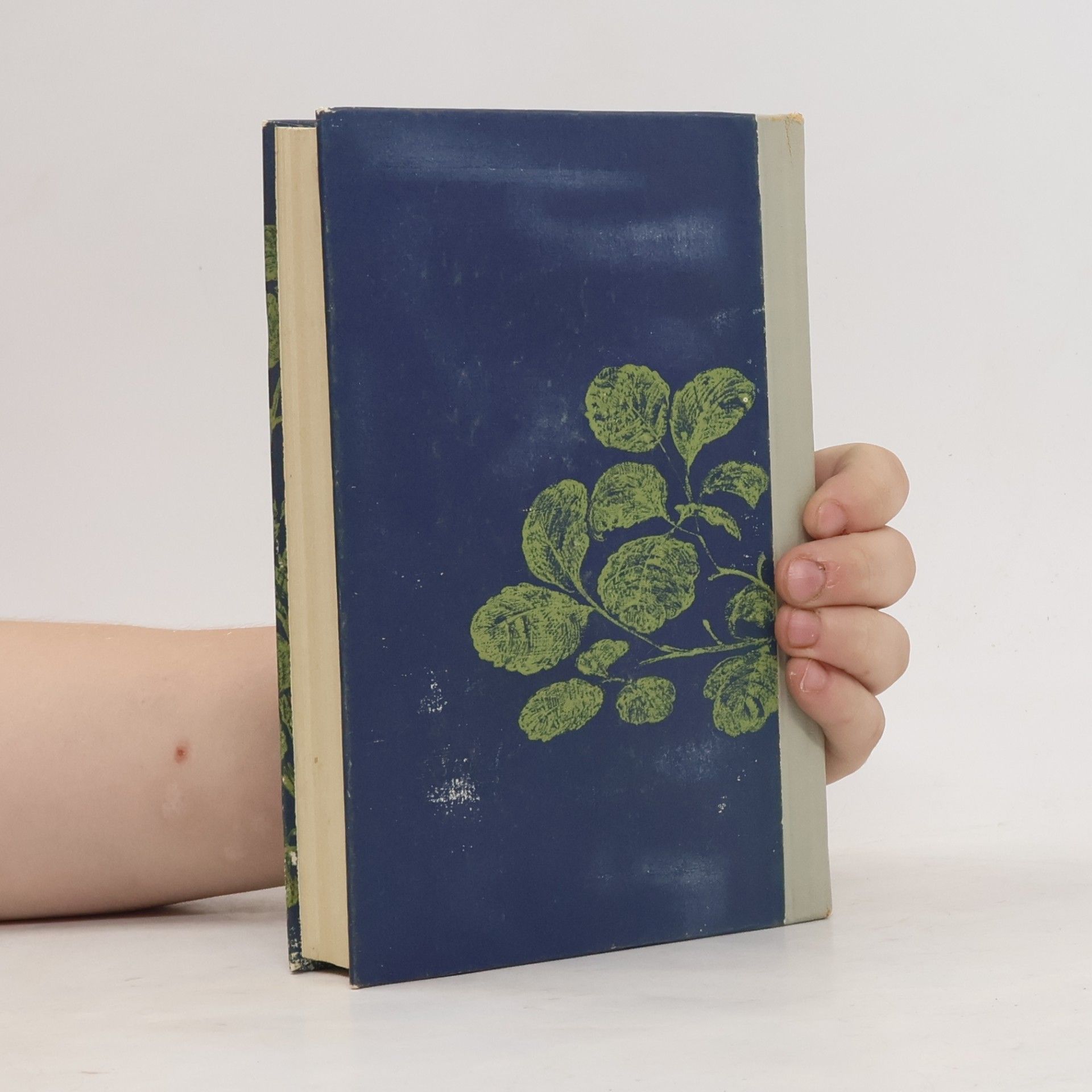 Harper Lee Wer die Nachtigall stört